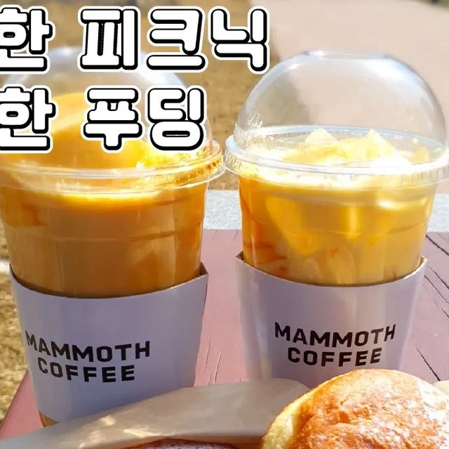  먹스타그램, 먹방, 하남맛집 추천, 서울맛집 추천, 포항맛집 추천, 제품추천, 미사맛집 추천 on Instagram: "#광고 #협찬
스트레스엔 달달한 디저트
♥️매머드커피♥포장, 매장

매머드커피에서 봄 시즌을 겨냥한 달달한 신메뉴가 나왔어요.
봄이 되면 새로 시작하는 모든 것들이 달달하잖아요~💕
그 탱글탱글 달디단 감성을 느낄 수 있는 메뉴예요!! 
날씨가 너무 좋아 호수에 피크닉 왔어요~

•🖤. 커스터드 푸딩 라떼(4,800₩)
커스터드 푸딩과 번트 카라멜 소스가
조화롭게 어우러진 바닐라향 가득한 푸딩 라떼예요
달콤한 푸딩에 달디단 밤양갱보다 더 달디단 카라멜과 
스윗한 바닐라향까지
뭐야! 맛 없을 수 없는 조합이잖아요!!!💕
굳이 푸딩을 섞지 않아도 먹다보면 푸딩 조각들이 입안으로 몽글몽글 들어와 즐거운 식감을 즐길 수 있어요!

•🖤. 커스터드 푸딩 쉐이크(3,500₩)
커스터드 푸딩과 번트 카라멜 소스가 
조화롭게 어우러진 바닐라향 가득한 푸딩 쉐이크예요
이건 여자친구가 마법에 걸린 그날 사주면
센스있는 남친으로 거듭날 수 있는 치트키템으로 
달콤함이 100%를 자랑하는 쉐이크예요💕💕
남자분들 체크하셔서 센스있는 남친이 되어 보아용~~

•🖤. 꿀 우유 크림 도넛(5,300₩)
쫀득한 도넛 속을 진한 우유 크림과 바닐라빈,
꿀로 가득 채운 크림 도넛으로 저는 신메뉴 중 가장 최애💕💕
겉은 담백한 도넛빵에 속은 부드럽다고 소문난 아이들로만 구성했네요!! 
어른들도 즐길 수 있도록 과하지 않은 달달함으로 
정말 추천해요💓💓

달달한 러버와 함께 먹으면 달콤함 폭발!!!❤️❤️

♦️매장이름 : 메머드커피 익스프레스 하남미사역점
♦️영업시간 : 08:00~21:00
♦️매장주소 : 경기 하남시 미사강변남로 103 114호

@mmthcoffee 
#푸딩맛집#푸딩카페#봄신메뉴#커스터드푸딩#푸딩라떼#매머드커피#매머드커피디저트"