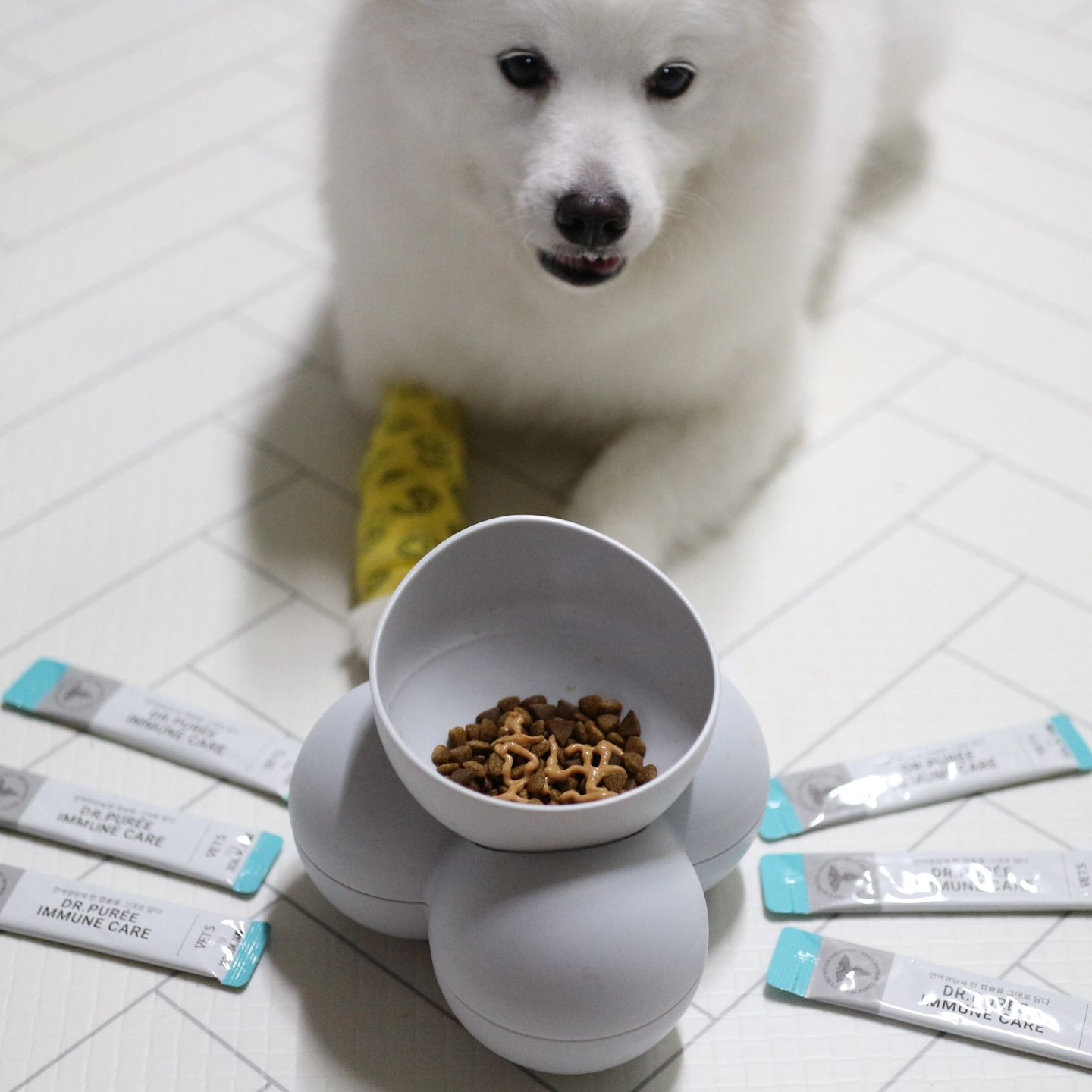 #협찬 vets60

베츠 닥터퓌레 이뮨케어 

우리 화포 이번에 발 다쳐서 산책도 못 하고,
집에서만 힘 없이 있어서 면역력 케어를 위해 매일 베츠 닥터퓌레
이뮨케어 한 포씩 먹여주고 있어요!

그동안에는 트릿으로 먹였었는데 합성첨가물이 많이 들어간다는
말을 듣고 걱정이 되더라고요..

트릿 제형을 유지하고 상하지 않게 보존하기 위해서
글리세린지방산 에스테르, 솔비톨, 솔빈산칼륨과 같은
합성 첨가물과 각종 당류가 들어가야 한다네요!!
이런 합성 첨가물이 알러지나 소화기 문제의 원인이 되기도 한다니😭 견주로써 더 공부해야겠다는 생각을 하면서 앞으로도
전 성분과 기능성분 함량도 항상 꼭 확인해보려고요~ 

베츠 영양제는 수의사가 만들어 더욱 입소문 나기도 했고,
합성보존제와 향미제, 증점제 등 합성첨가물을 일체 사용하지 않아
더욱 믿음직스러웠던 강아지 영양제였답니다.^^

츄르타입이라 사료 잘 안 먹는 아이들이라면 사료에 뿌려줘보세요!
완전 기호성 갑이에요.^^
유리너리(방광요로), 조인트(관절), 이뮨(면역), 레날(신장)
4종 구성이라 다음에는 조인트도 먹여볼래요!!🐶🐶

#강아지영양제 #고양이영양제 #반려동물영양제 #츄르 #노령견영양제 #노령묘영양제 #베츠