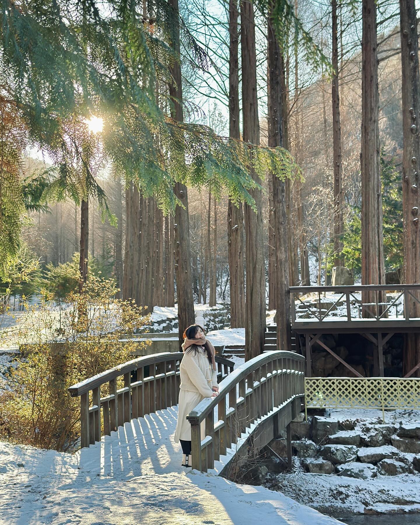📍논산 온빛자연휴양림 

사유지 이지만 자유롭게 산책가능해요 
드라마 그해우리는에 나와 유명해졌지만, 
붐비지 않아 언제가도 여유롭게 산책할 수 있어 좋아요 
단풍명소지만 겨울도 여름도 너무 예쁜 이곳🫶🏻
공룡도 동백꽃도 만날 수 있답니당 🦖🦕🌺 

✍🏻✍🏻 더 많은 사진은 블로그에서