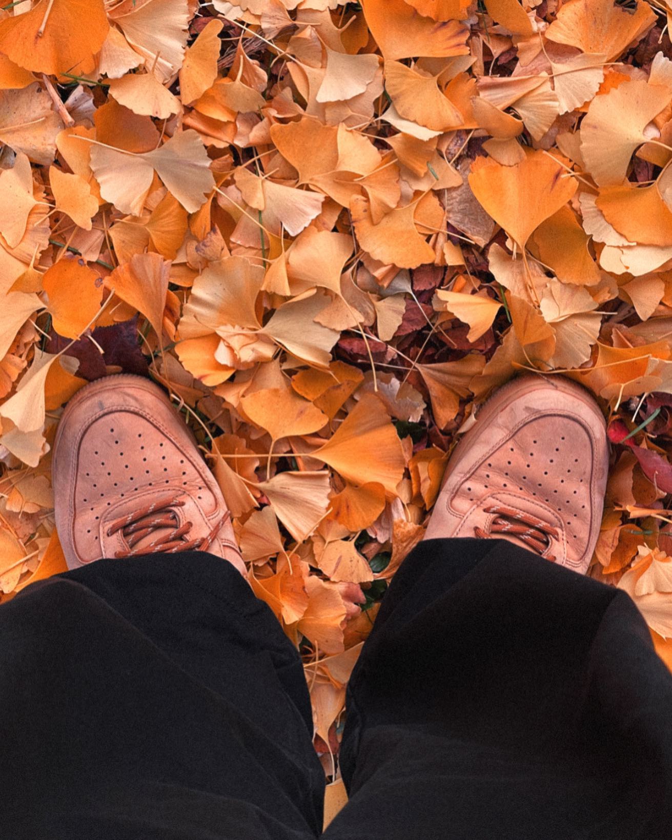 🍂🌬️☃️