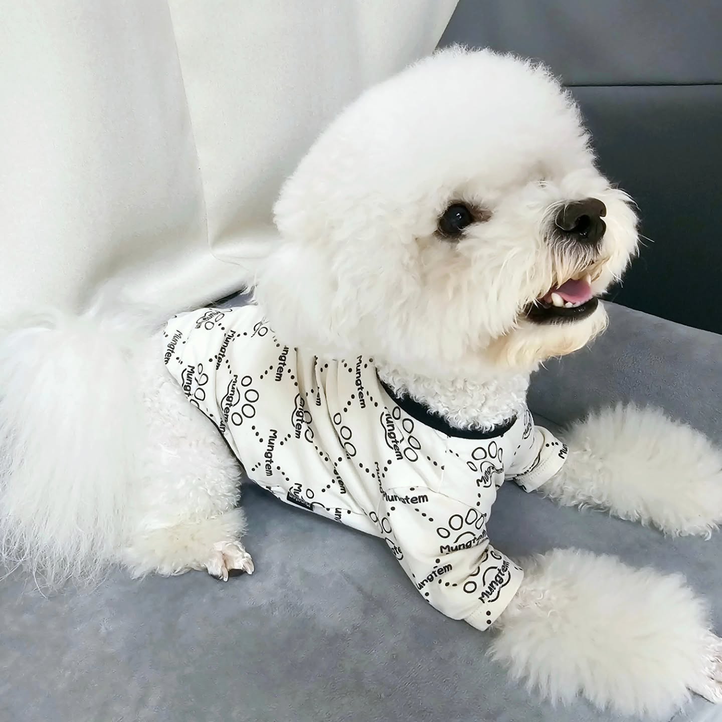 #협찬  mungtem 

야도라, 춘봉이 옷 오때🥋
멍셔리한게 아주 춘봉이한테 딱이지👑

100%국내생산에
스판소재로 되어있어서 그런지
이거이거 유치원에서 
날라다니기 짱 편하네💨💨

유치원 입구 갔더니
간지라는게 폭발해버려찌모야😎

유치원 멋쟁이, 이춘봉 나야나🐾🤍

춘봉이는 요즘 몸을 자꾸 긁어서
집에서도 항상 잠옷을 입고 지내는데
이번 겨울엔 멍셔리하게 
실내복으로 입어줘야게쪄🤤

봄🌸가을엔🍁 외출복으로
겨울엔❄️ 실내복으로
사계절내내 뽕 빼야게따🫶🏻

5.8kg 춘봉이 사이즈 XL❤️
.
.
.
.
#멍템멍셔리 #멍셔리 #멍템 #강아지옷 #강아지실내복 #강아지내복 #강아지가을옷 #강아지옷브랜드 #강아지옷추천 #강아지반팔티