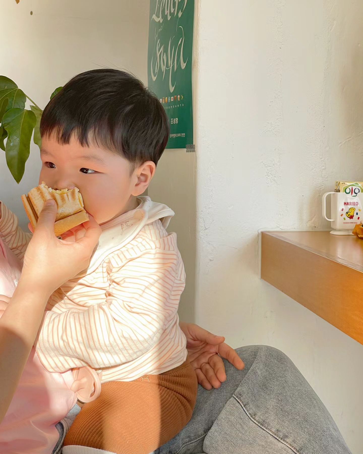 용맹한 아기사자🦁
인생 첫 마요네즈 멋보고 눈 땡글 👀🤍
기여워도 죽겠고 간식비 버느라 허리 휘어 죽겠고🐷
ㅋㅋㅋㅋㅋㅋㅋㅋㅋㅋㅋ하지만 복직은 실코🔥

+ 턱밑에 숨겨논 인절미사진까지 보고가세효🤍

#카페그리너티