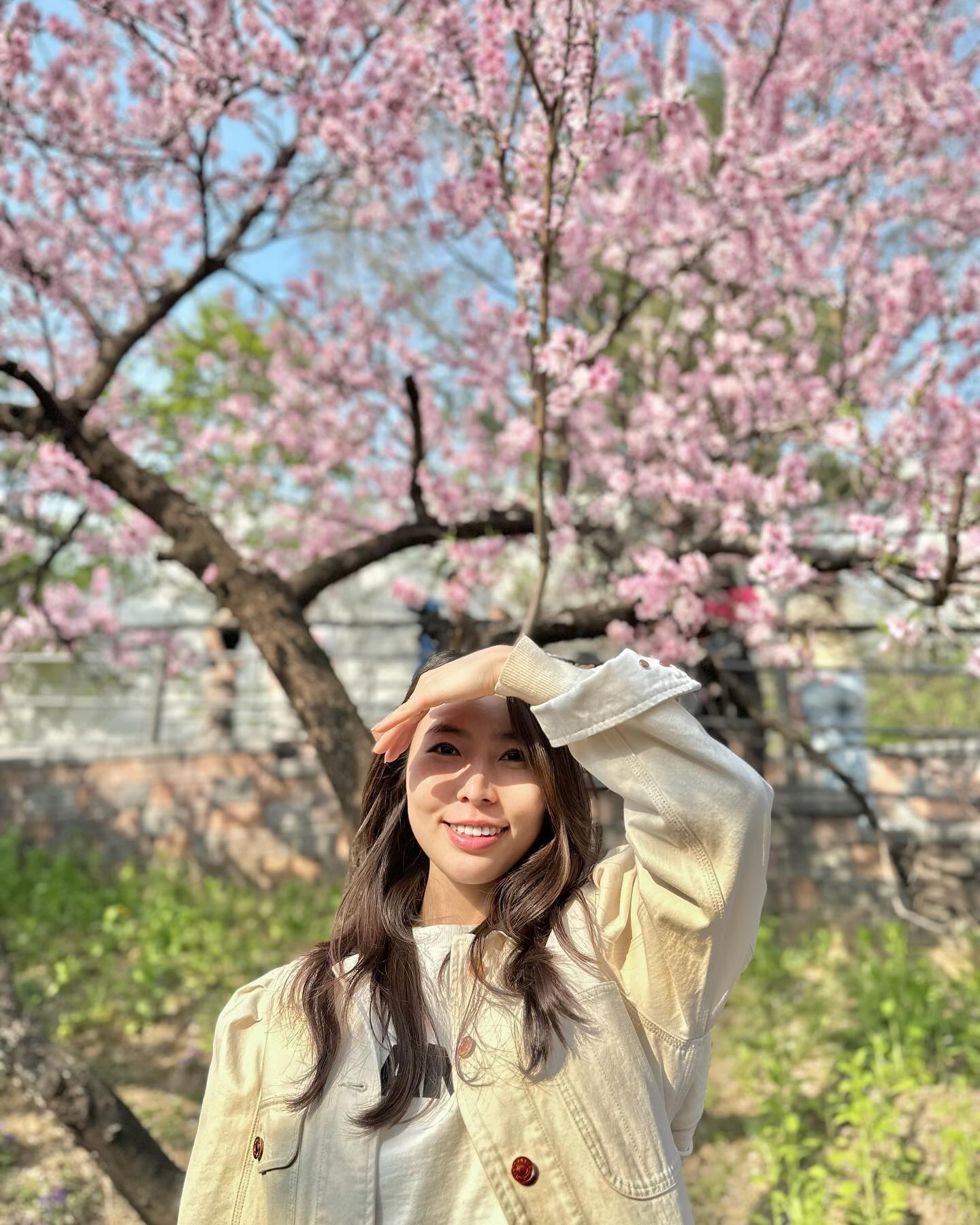 벚꽃으로 물든 피드에 핑크 더하기 🌸