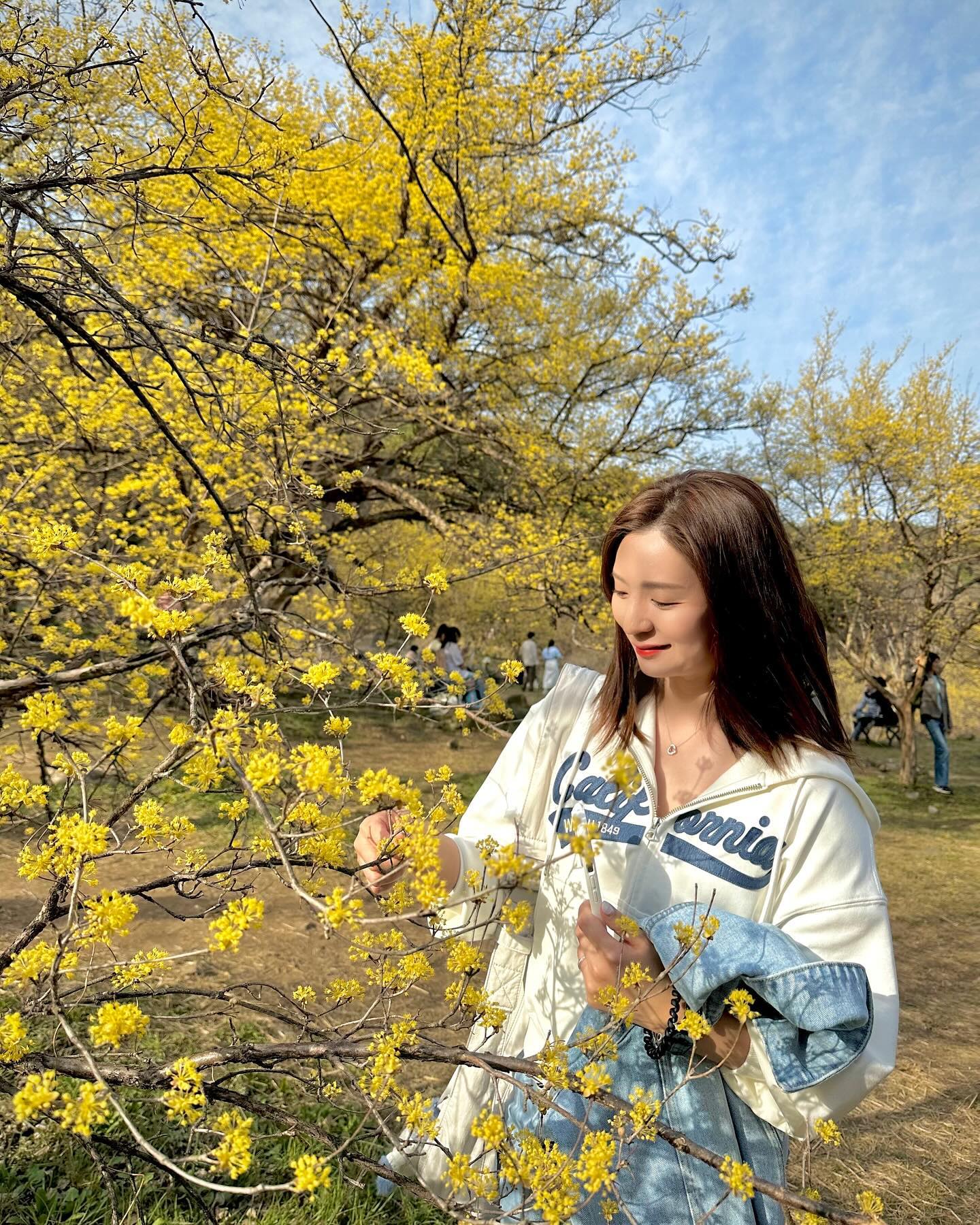헿 생일의 마무리는 산수유 축제로🙌🏼 
축제는  끝났는데  산수유는 아직 만개직전? 
도자기 아울렛도 가고 싶었는데.. 시간이 ㅠ 
그냥 이번달 도자기 축제를 가야지 ! 
먹걸리를 잔으로 팔았으면 벌컥벌컥 마셨을거야.. 
날이 너무 좋아 더운 ㅋㅋ 
구름이 많아져서. 아쉽아쉽 
다음엔 벚꽃이다아아🙌🏼