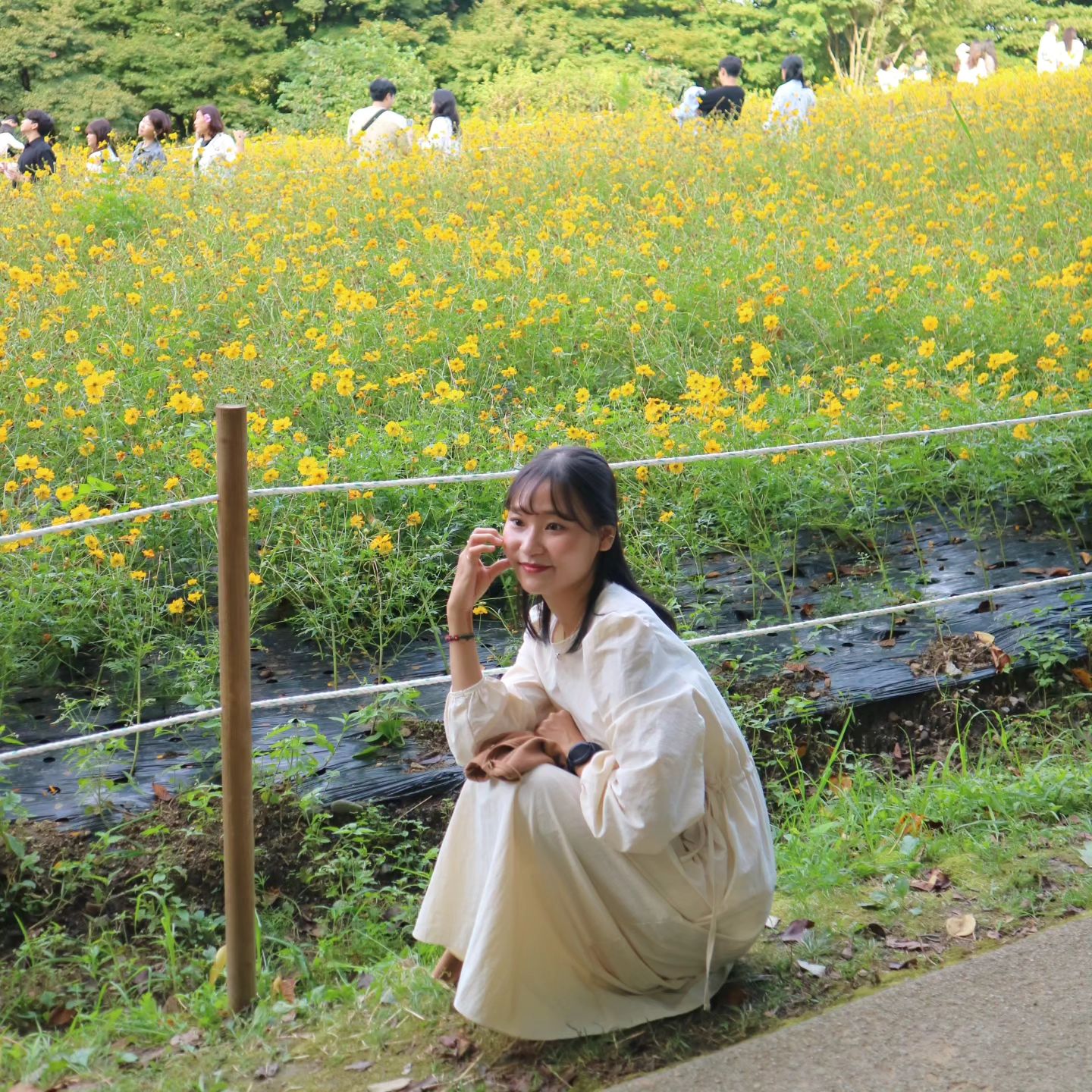🌼