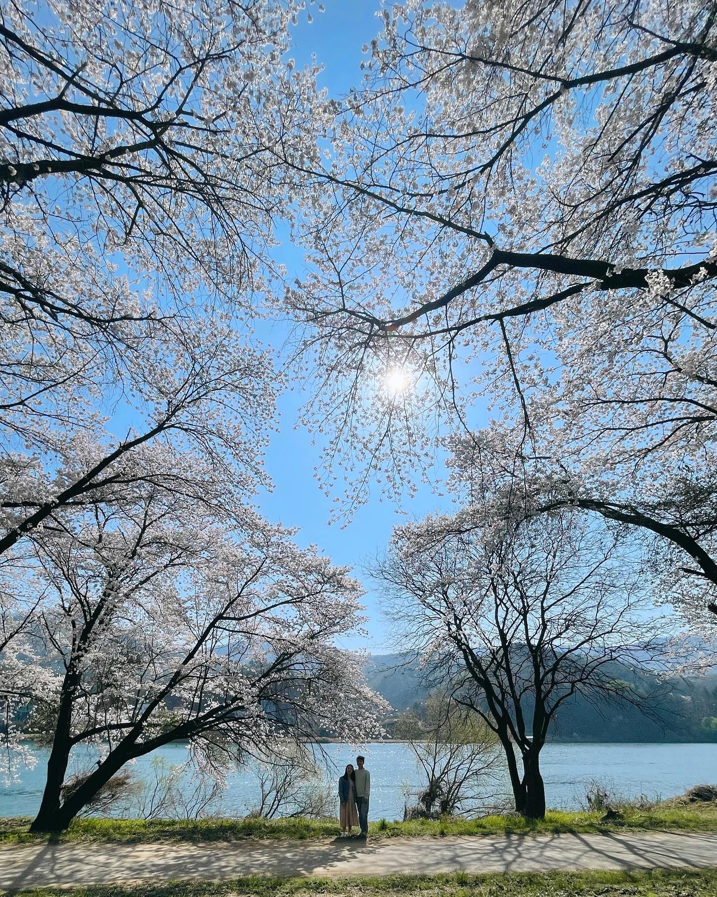 감성따윈 없는 도시락 싸들고 가서 신나게 즐기고 온 벚꽃놀이🌸🌸
내년엔 만복이랑 같이 와야지👶🏻💗

#벚꽃시즌🌸