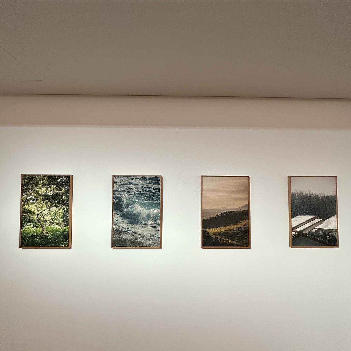 <<윤슬, 머물다 가는>>
_ 문성주작가 개인전

평소 조용히 응원하던 성주작가님의 전시회 소식에 첫날 부리나케 다녀왔다
감탄이 계속 나오던 작품들과 공간!

‘봄,여름,가을,겨울’ 과 ‘푸르른’
한발 늦어서 구매하진 못했지만 마음 속 깊게 여운이 남는다
가만히 바라만 보고 있어도 마음이 정화 되는 기분
집으로 데려가고 싶었는데‧⁺◟( ᵒ̴̶̷̥́ ·̫ ᵒ̴̶̷̣̥̀ )
아쉬운 마음은 포스터 세장으로 달래고! 예쁘게 걸어둬야지
 ‘서담,예지’ 작품은 글을 읽는 내내 마음이 뭉클 하면서 찡-

잠깐이었지만 너무나 따스하고 친절하셨던 예지작가님, 잔잔하지만 큰 울림이 느껴지는 분🤍
우리 무르무이에서 또 만나요
ヾ(*'∀`*)ﾉ♡