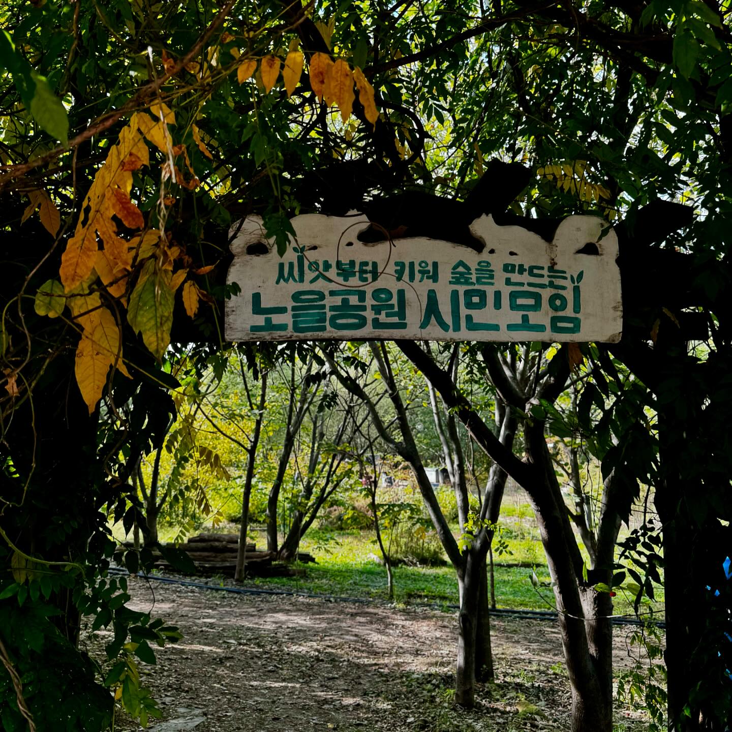 나는 초록 씨앗 새싹 흙 나무 식물들이 너무 좋다🌱🪴🌿
3개월 동안 키운 도토리 묘목 멋진 나무가 돼서 행복한 숲이 되길💚
그리고 처음으로 가본 #노을공원 완전 최고!!

#집씨통 #도토리키우기 #씨앗부터키워서천이숲만들기