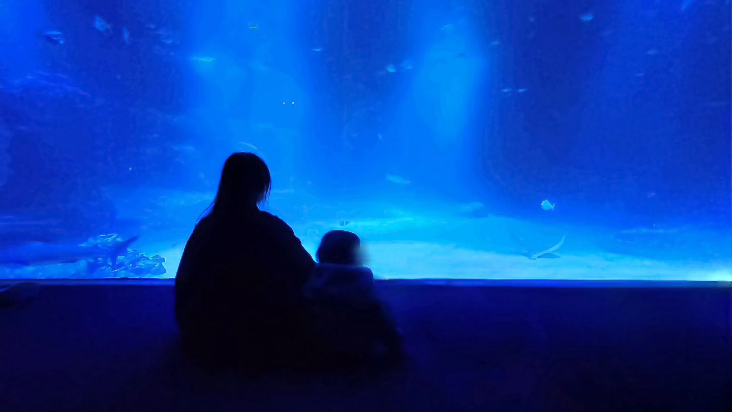 물멍🐠