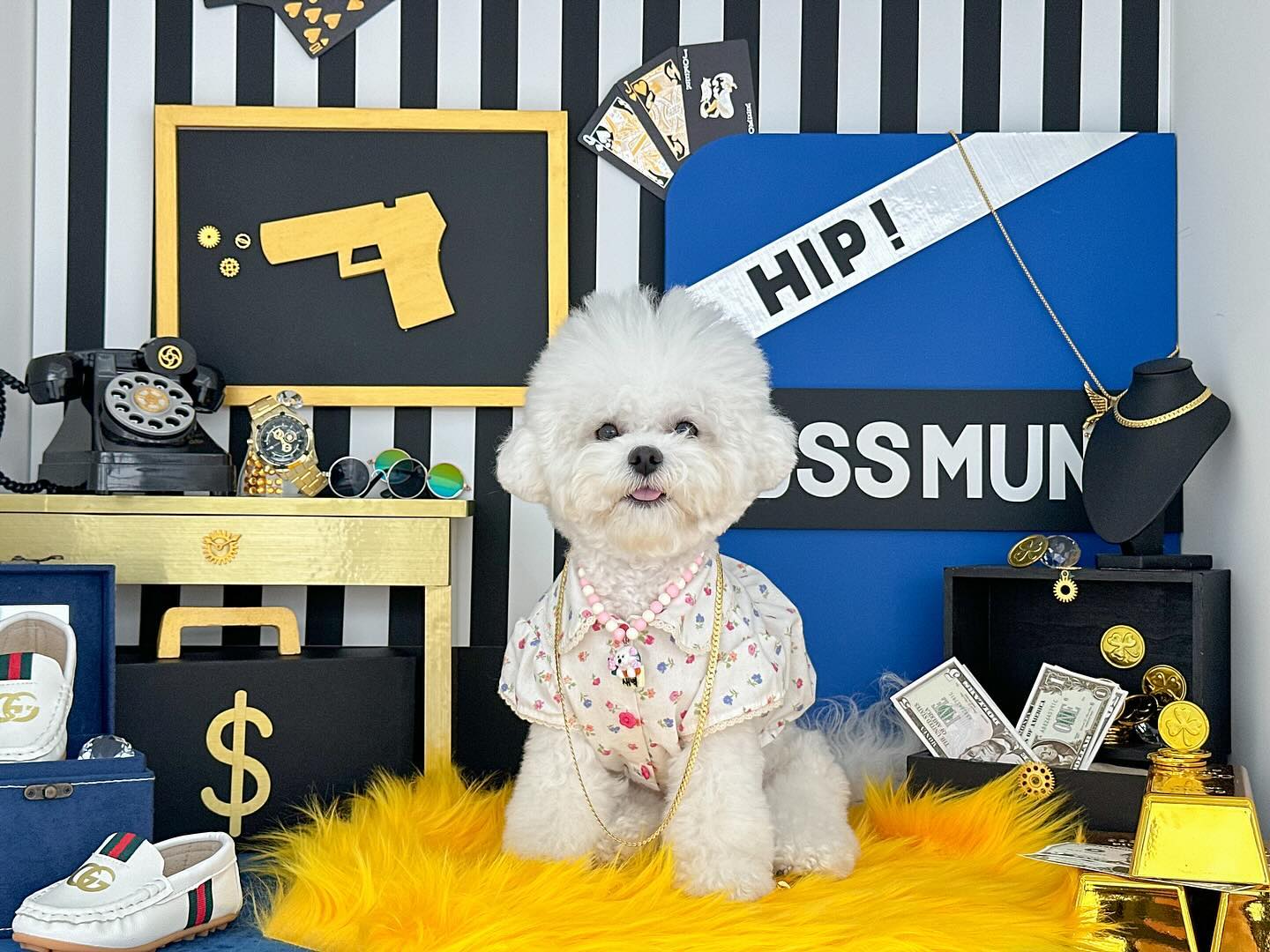 신상 애카 보스멍🩵🕶️💸🔫