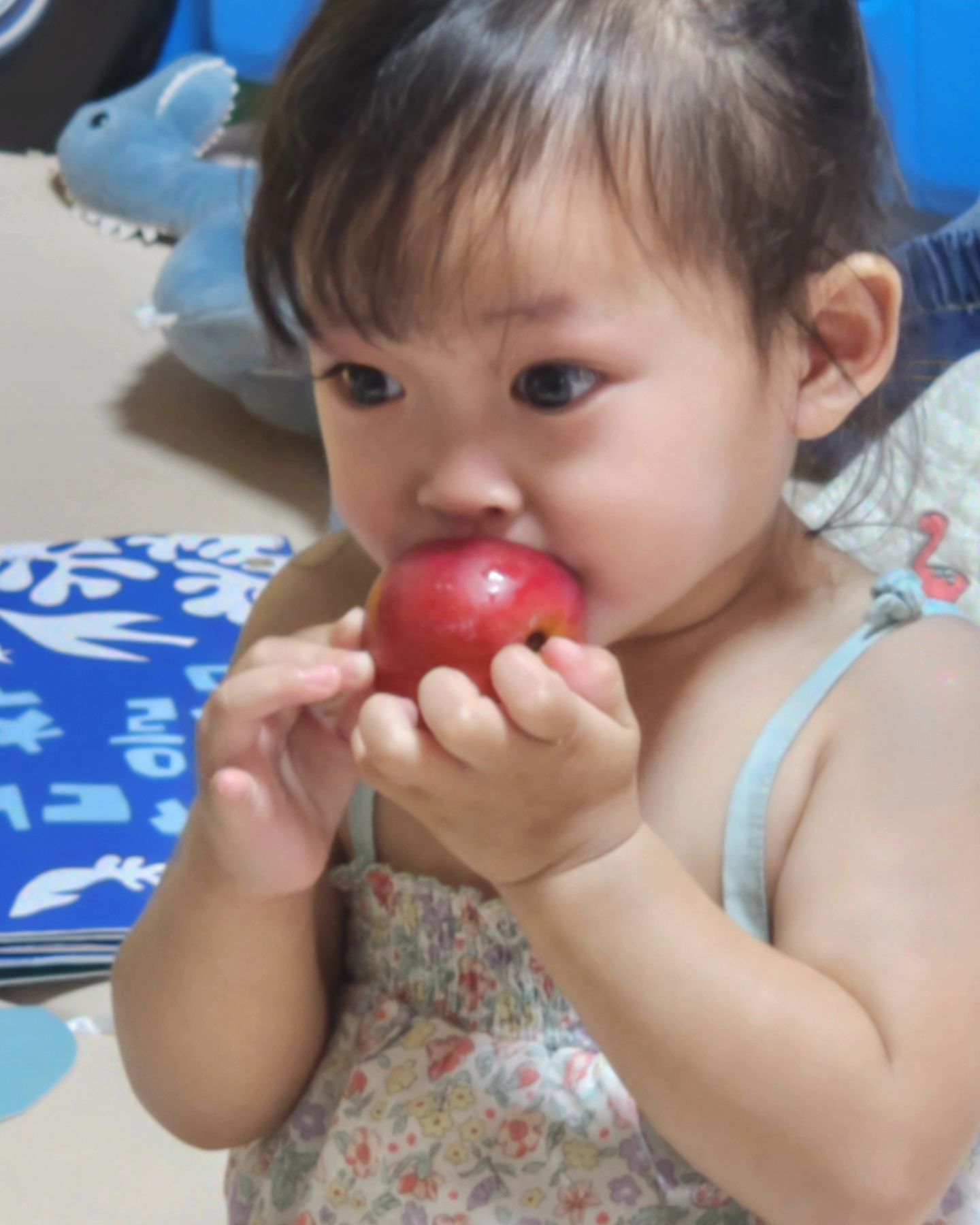 🍑
앙! 야무지게 먹어요.
#천도복숭아