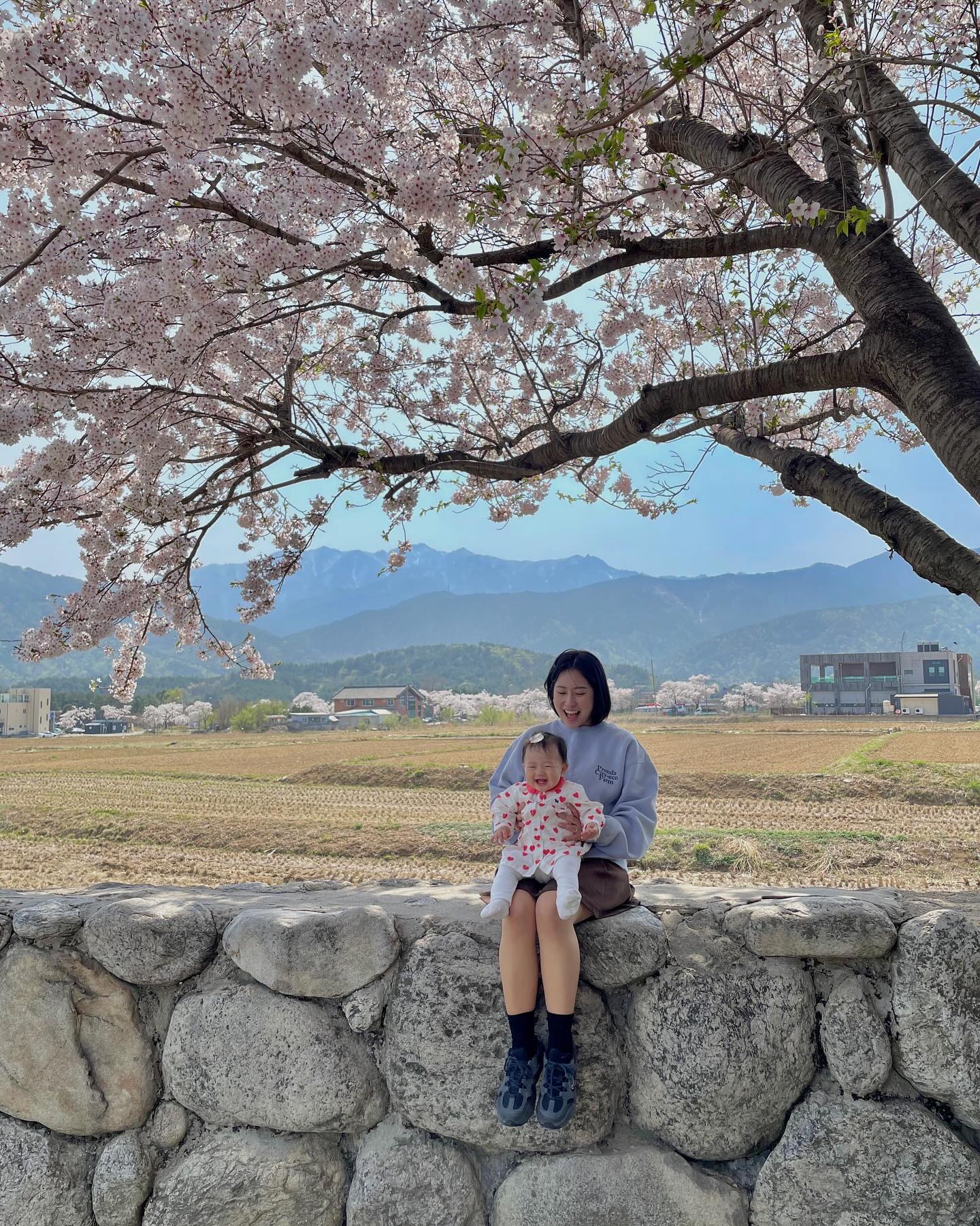 _
태리랑 첫 여행이었는데 매우 성공적…🌸💗

우리 둘다 인생 최고의 벚꽃이람서 제대로 만끽하고 옴✌🏻헿

돌아와서 몸살에 시달린건 살짝비밀쿵.. :0
#주댕티동태리 #𝐭𝐚𝐞𝐫𝐢_𝐟𝐢𝐥𝐦 #𝐭𝐚𝐞𝐫𝐢_𝐃𝐚𝐲 #261days #벚꽃엔딩