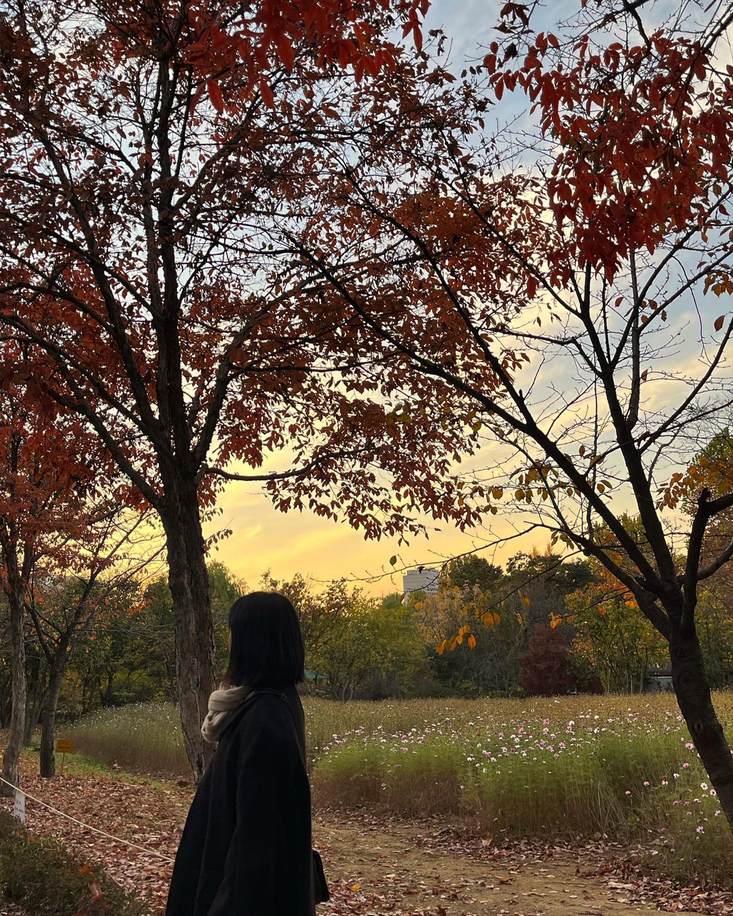 가을 한줌🍁