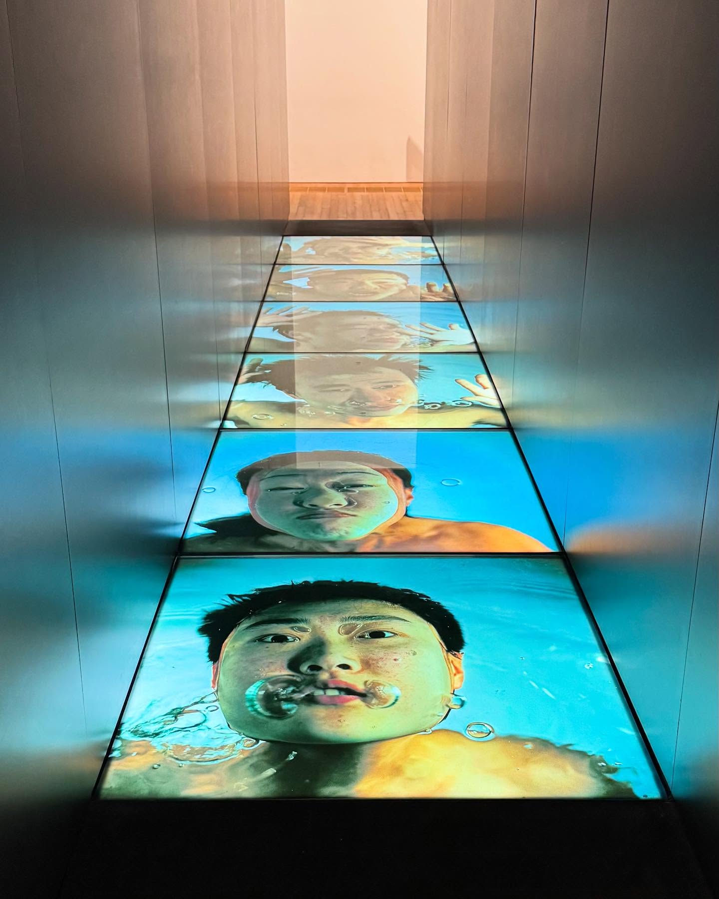 콘텐츠