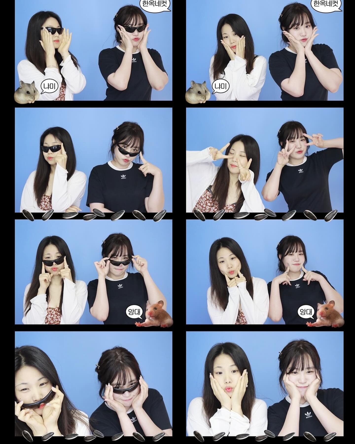 갓성비에 잘나옴
여긴 전주 필수코스..

#네컷사진 #인생네컷 #한옥네컷 #전주#전주여행