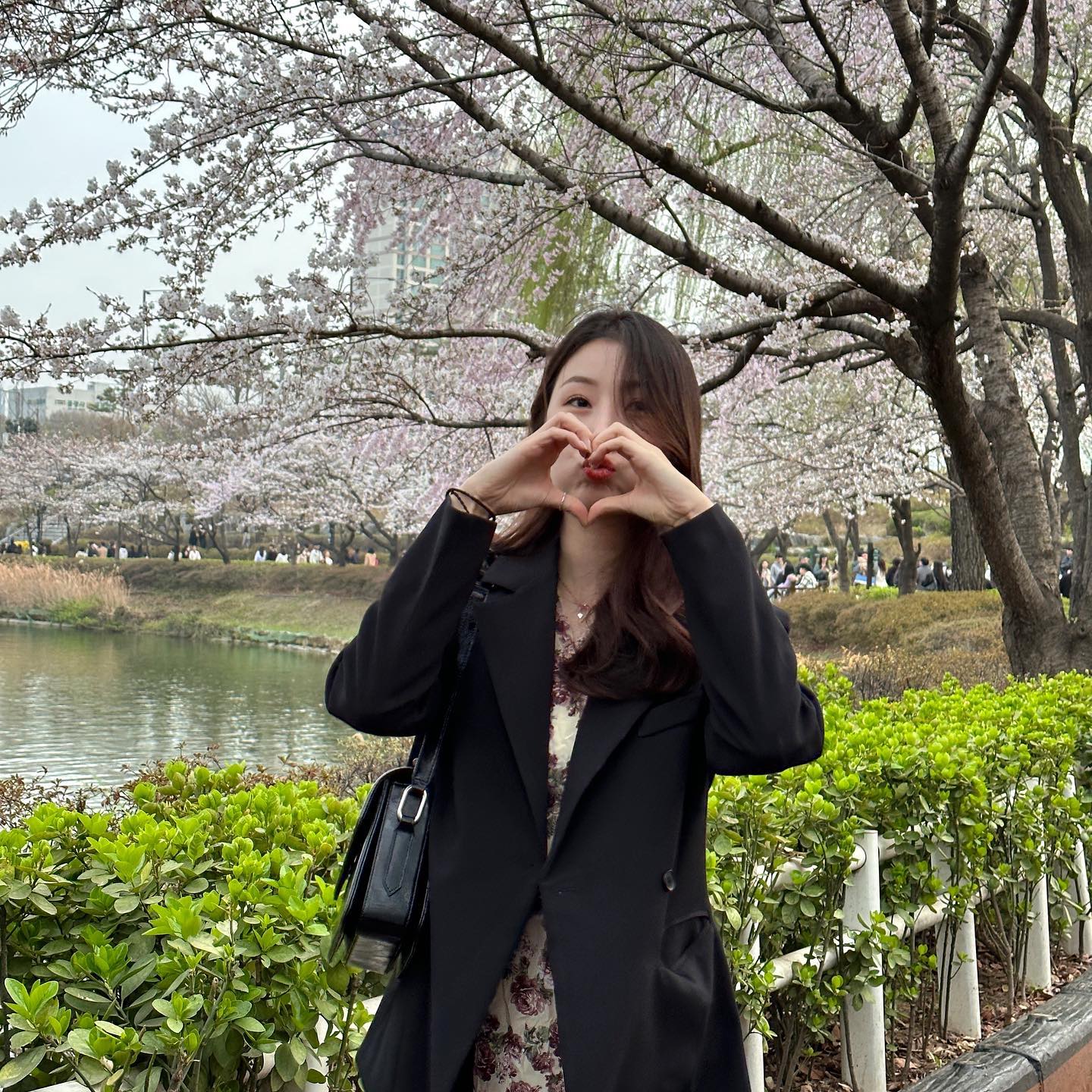 벚꽃은 늘 설레징💓 #보봬