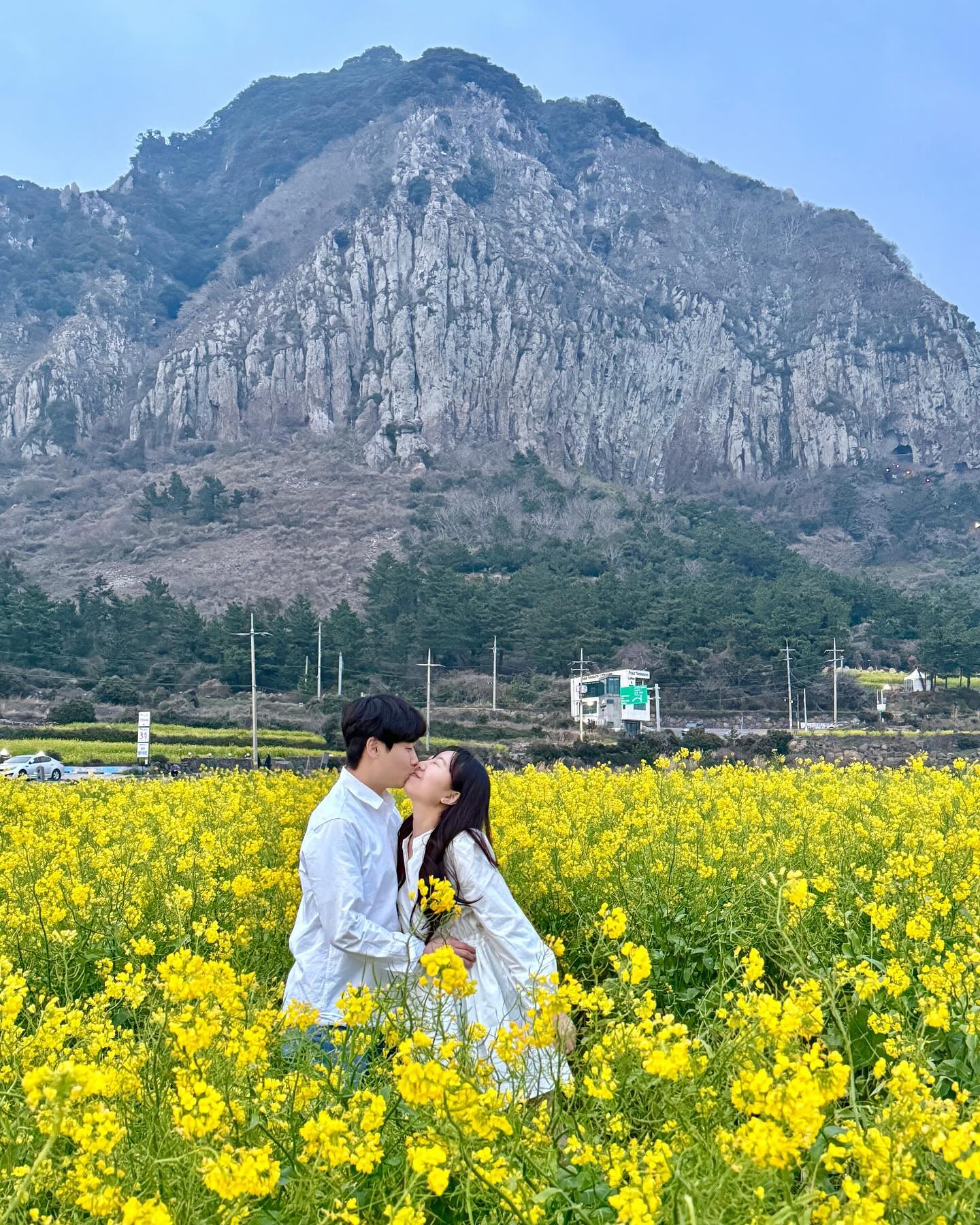 흐려도 예쁜 노랑 유채꽃💛

아래 산방산 유채꽃 관련 꿀팁 정보드려요!!
3-4월 제주 여행 가시는 분들 참고하셔서
노랑빛 가득한 산방산 유채꽃 즐겨주세요🫶🏻

🔸포토존
안덕면 사계리 198-4번지
(산방산 정면 포토존 주소에요)

🔸사진꿀팁
1.2~1.4배로 확대해서 찍기
(산방산이 더 가깝게 찍혀요)

🔸근처 유채꽃 카페
“소색채본” 강추

🔸근처 가볼만한 곳
산방산랜드, 사계해안, 용머리해안