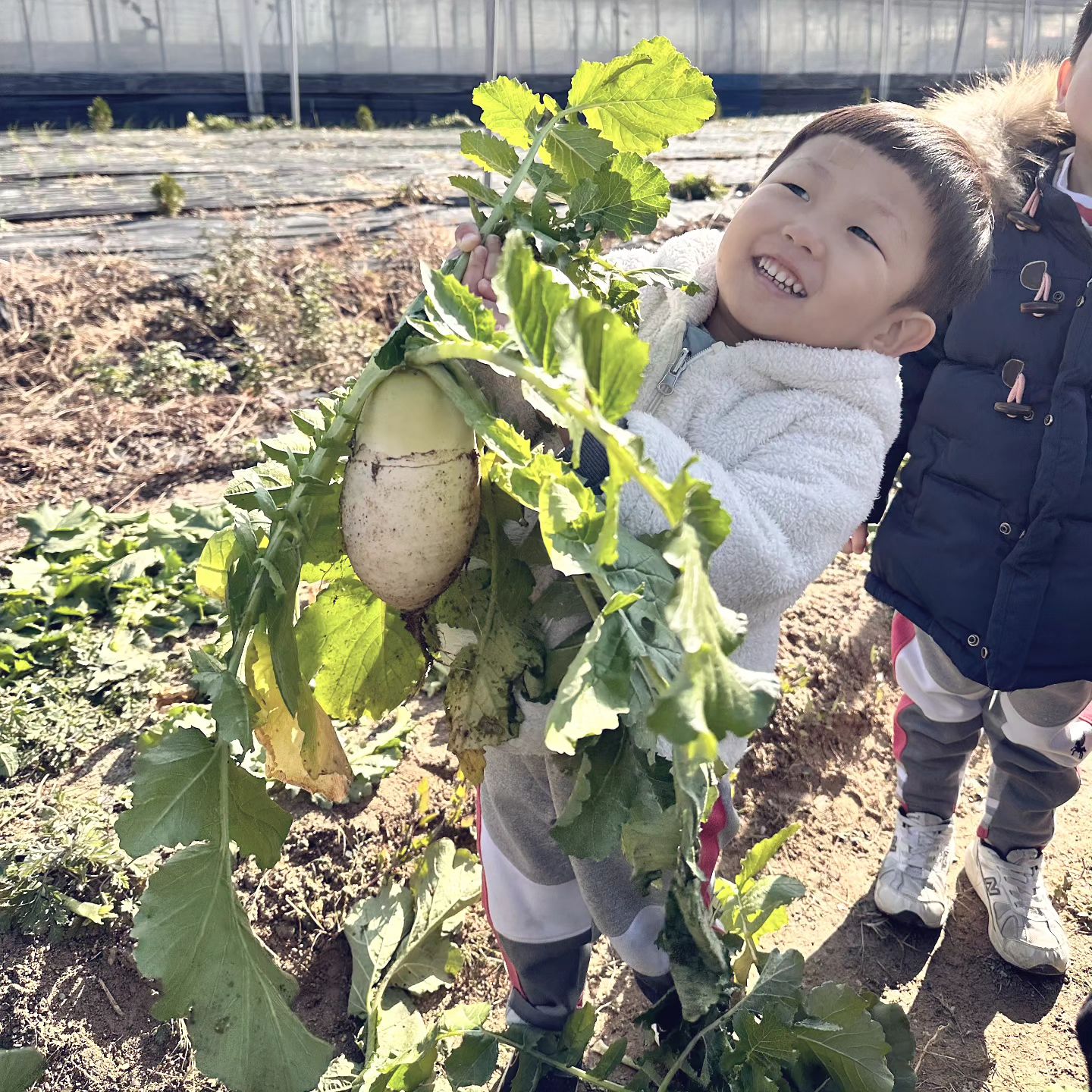.
놈삐밭 다녀온 날
행복한 삼봉이 🤣🤣🤣

직접 담근 깍두기 손에 꼭 쥐고 하원

.
.
.
#무밭 #놈삐 #깍두기 #어린이집행사 #어린이집체험학습
#후형후제_족은거