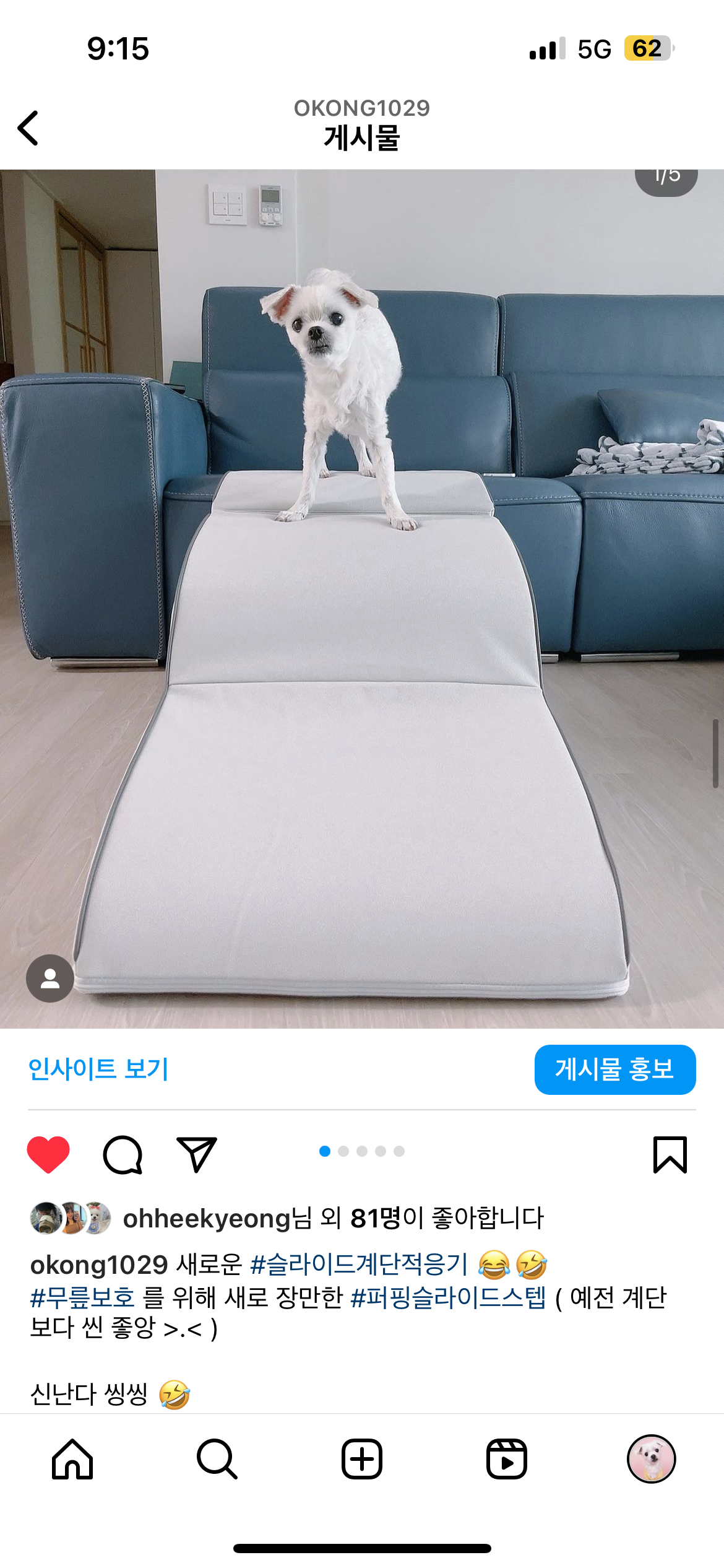 콘텐츠