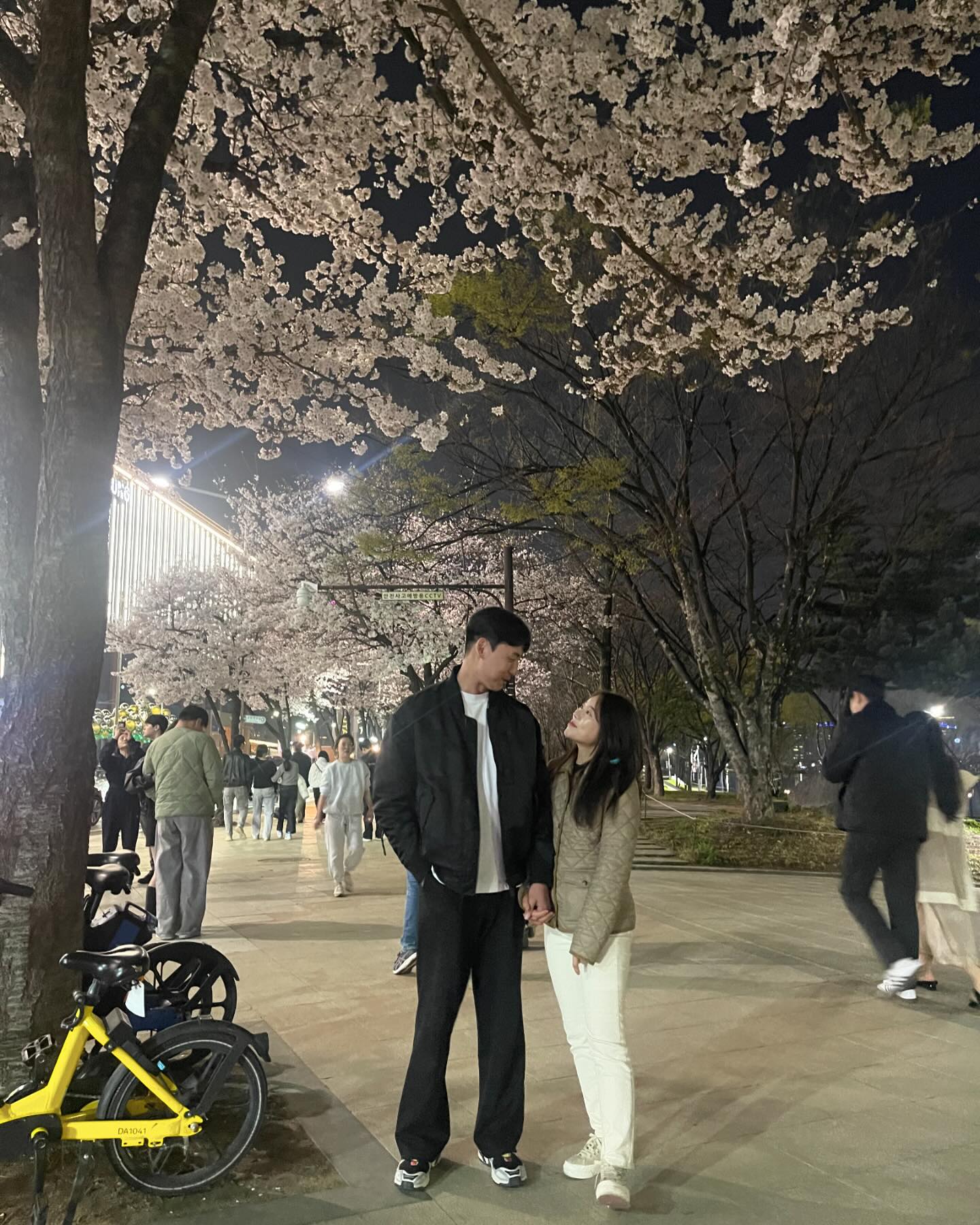 #수성못 #벚꽃 사람반 벚꽃반 ,, 🌸