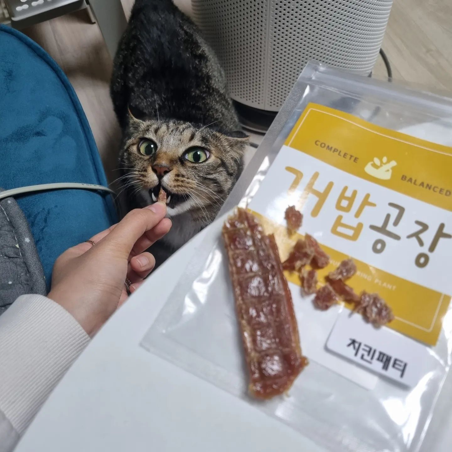 #협찬 #개밥공장 #고양이강아지겸용간식
#수제간식 치킨패티 & 치킨져키

흑미는 부드러운 식감의 #스테이크간식 #패티 를 더 좋아하고

뽁이는 #쿠키같은간식 #져키 를 더 좋아하넹~

댕냥이 모두에게 기호성이 좋은 강아지고양이가 함께 먹을 수 있는 간식♡

치킨순살 베이스로 조각내서 훈련용이나 노즈워크로 주기에도 #맛있는영양간식

방부제 없는 수제간식으로 치킨말고도 소고기, 오리, 양고기, 황태 등 다양한 재료로 만든 간식이 있어 기호에 맞추기에도 딱!

https://m.smartstore.naver.com/puppyandpeople

#흑어멈 #전연령간식 #맛있는영양간식 #부드러운간식