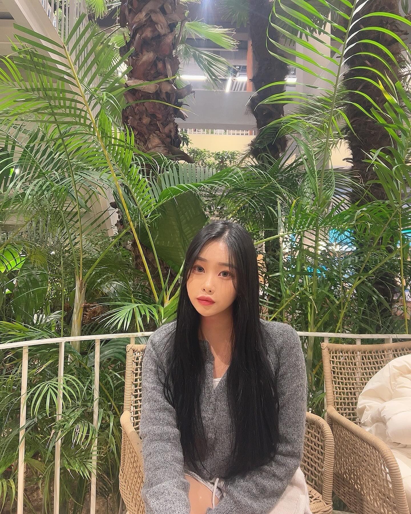 💚🍀🎄🌴🌳🌲🎋🏝️🍃