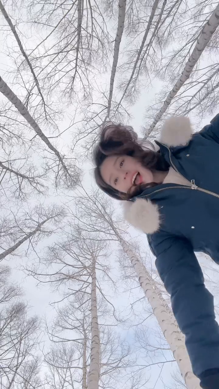 강원도 인제 자작나무 숲보다 무려 6배 크다구요? 

자작나무 특유의 빛깔과 화사함에 심취하는 곳,
순수 자연 그대로의 영양 자작나무 숲입니다🪶

수십만 그루의 새하얀 자작나무와 
소복이 쌓인 눈이 더해져 그림 같은 풍경이 펼쳐지는데,, 
와! 입이 떡-하고 벌어질 정도로 아름다웠어요..🥹

축구장 43개를 합쳐 놓은 엄청난 규모임에도 
강원도 인제에 비해 아직 덜 알려져 조용하고
고즈넉하게 자작나무 숲 그대로를 느낄 수 있답니다.

개인적으로는 나뭇잎이 달린 계절보다는 
나뭇잎이 하나도 없는 온 세상이 하얀 
순백의 겨울을 추천해요!

묘한 색감의 나무와 설경, 겨울 향기가 어우러지는 게
무척 매력적으로 다가오거든요🤍

또한, 애견 동반이 안 된다는 안내를 받았었지만
여행객이 많이 없는 날에 한 해 관계자분들 재량으로 
출입 허락을 받을 수 있었습니다!

이 부분은 복불복이라 된다 안된다 
명확하게 설명드리기 어려우니 참고하셔서 
문의 드려보시는 게 빠르실 거예요.

📍영양 죽파리 자작나무숲 (영양 자작나무숲 안내센터)
-경북 영양군 수비면 자작나무길 79

🔖연중무휴 / 전기셔틀 월요일 휴무
🔖주차장에서 자작나무 숲까지 약 5km

🔖전기셔틀 이용 시 15분, 도보 이동 시 1시간 정도 소요
전기 셔틀 상행 : 10시부터 15시까지 / 30분 간격으로 운행
전기 셔틀 하행 : 10시 15분부터 15시 15분까지 / 30분 간격 운행

❗️기상 상황이 안 좋을 시 전기 셔틀 미운행
❗️도보로 올라가야 할 수도 있으니 튼튼한 운동화 추천해 드려요.

🔖주차: 무료
🔖입장료 : 무료 
🔖전기셔틀 : 무료