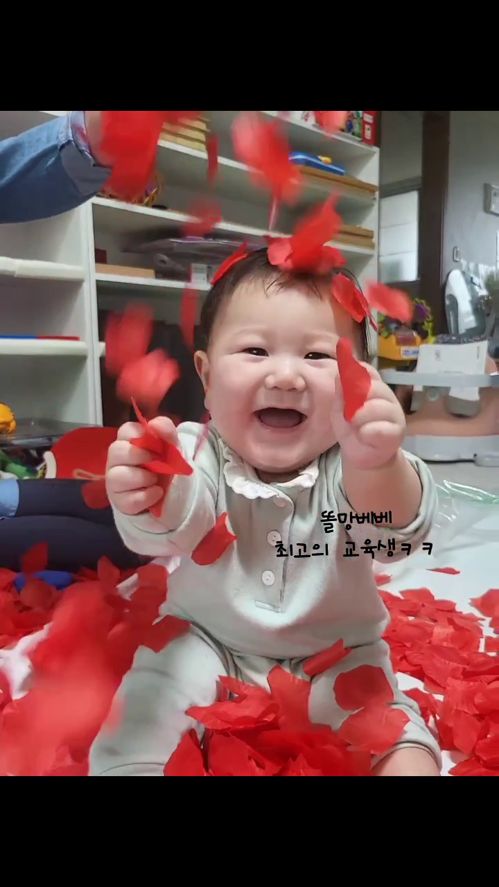 #하랑이ღ #7개월아기 #7개월아기놀이 #홈문센 #똘망베베 #엄마표놀이 #엄마랑놀기 #몬테소리육아 #육아놀이 #육아일상 #아기놀아주기 #꽃잎비 #꽃잎놀이 #즐거워요 #최고의교육 #너만즐거우면됐어♥️ #babyboy #babymodel #토실토실🐷 #돼랑이 #호랑이띠아기 #호랑이띠맘 #22년생아기