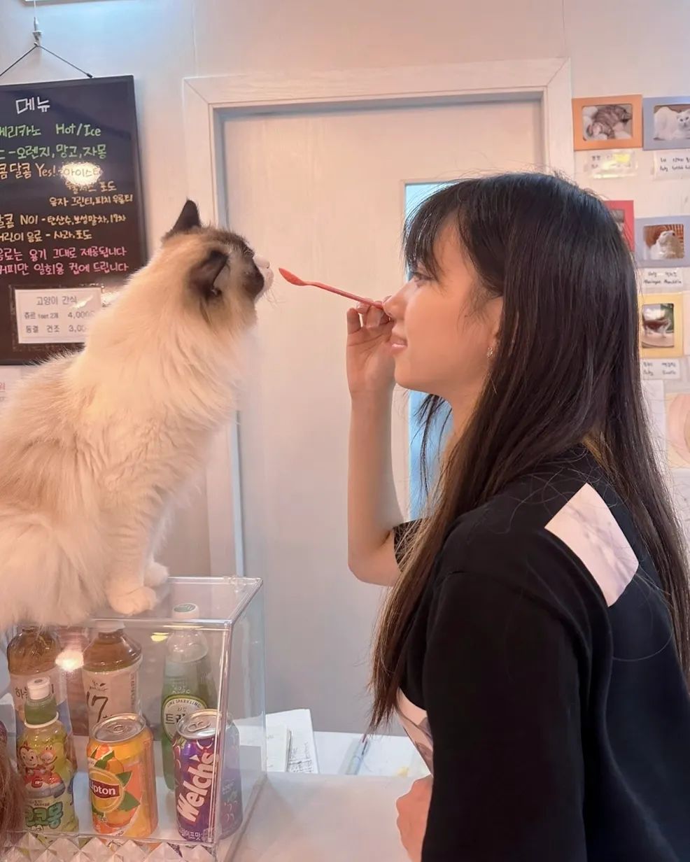 나 고양이상이래 🐱