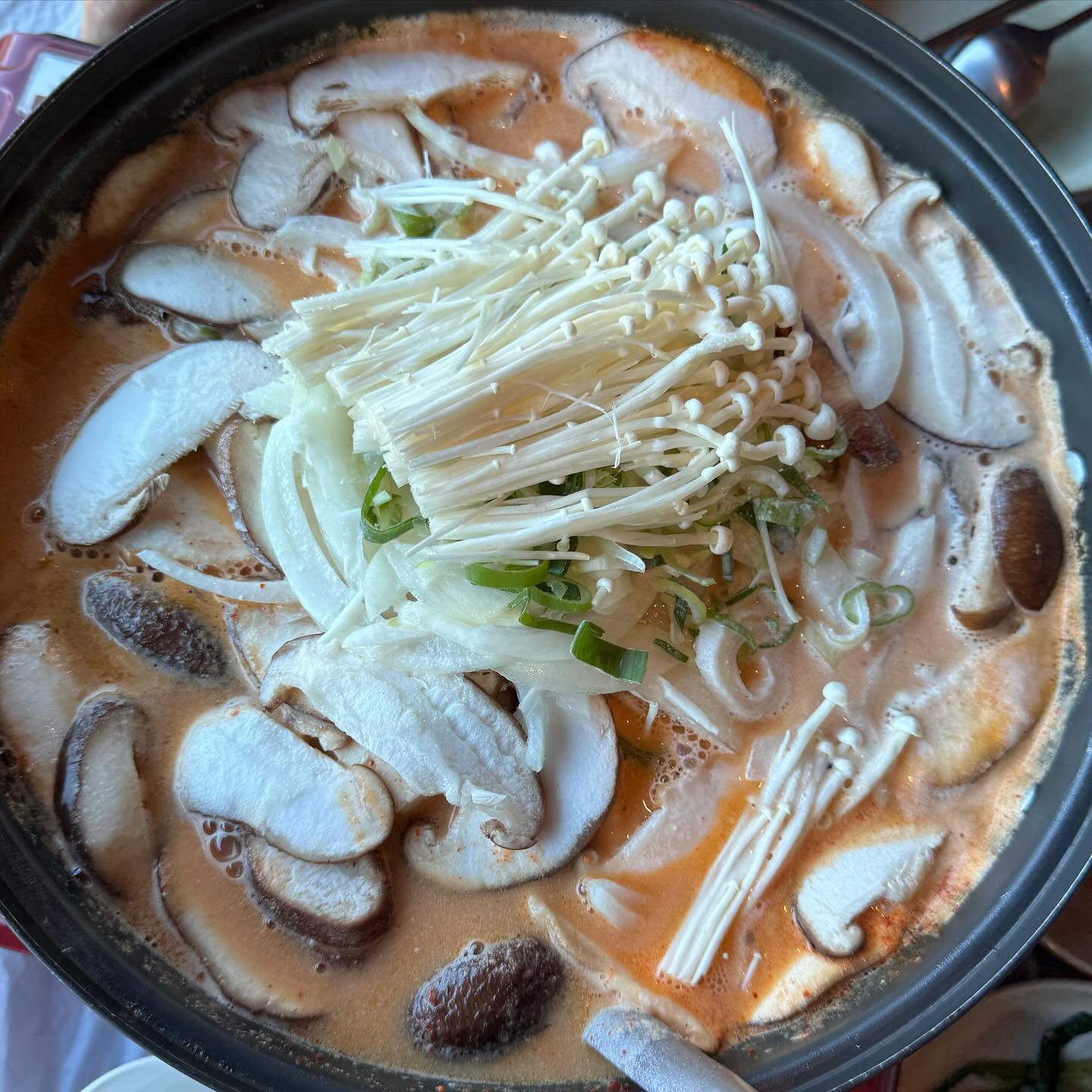 [경기/가평] 누구나 좋아할 맛! #빛두리
이번에 가평으로 가족여행가면서 가평에서 꼭 먹는 닭갈비말고 새로운 곳 찾아서 먹으러 다녀왔어요.

매번 가평 여행갈때마다 닭갈비를 먹었는데 딱히 맛있는 집을 찾기가 어려워서 다른 음식이 뭐가있을까하다가 평점이 높기도했고 부모님모시고갈거라 그에 맞기도해서 빛두리를 다녀왔어요.

메인은 잣 두부전골, 감자전이였는데!
일단 잣두부전골은 정말 세상에서 처음 먹어보는 맛이였어요. 뭔가 오묘한데 맛있는(?) 고~소해가지고 두부랑 버섯도 가득들어있는데 버섯 싫어하는데도 버섯이 거부감없이 들어가는 그런 맛이였어요.

그리고 감자전은 정말 튀긴거처럼 아주 바삭바삭미 넘쳐나는 감자전이였어요. 무려 세판이나 먹었..
정말 꼭 드세요.
그리고 메밀전병은 다른곳이랑 비슷한 맛이긴한데 매-콤해서 감자전이랑 번갈아먹으니까 더 맛있게 느껴지고 좋더라구요. 

결론은 완전 성공했던 가평 맛집이였어요.
밑반찬도 다 괜찮았고- 사람이 많아서 조금 정신없긴한데 모두가 다 만족했던 식당이였어요. 

다음에 가평가도 재방문 각 :D

📍빛두리
경기 가평군 설악면 유명로 2171