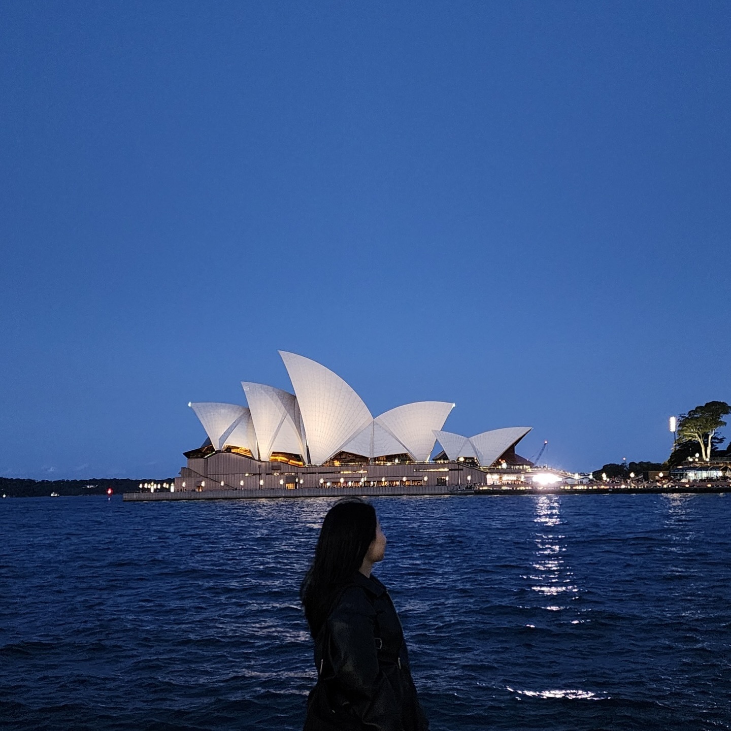 호주 여행🇦🇺

24.9.6-15 브리즈번 & 시드니
코알라, 캥거루, 왈라비, 쿼카와 함께한 행복한 시간