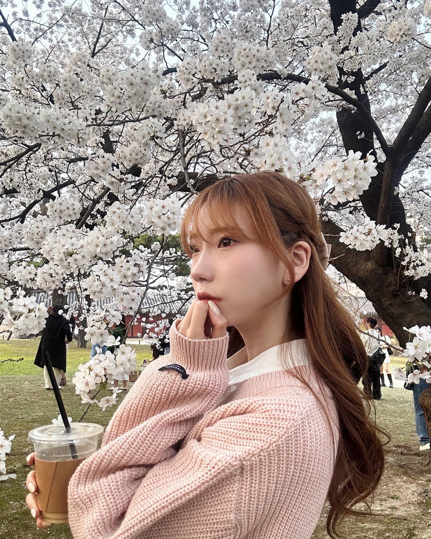 🌸벚꽃 막차🌸
_
_
_
_
_
_
_
_
_
_
_

#벚꽃막차 #창경궁대온실 #일상
