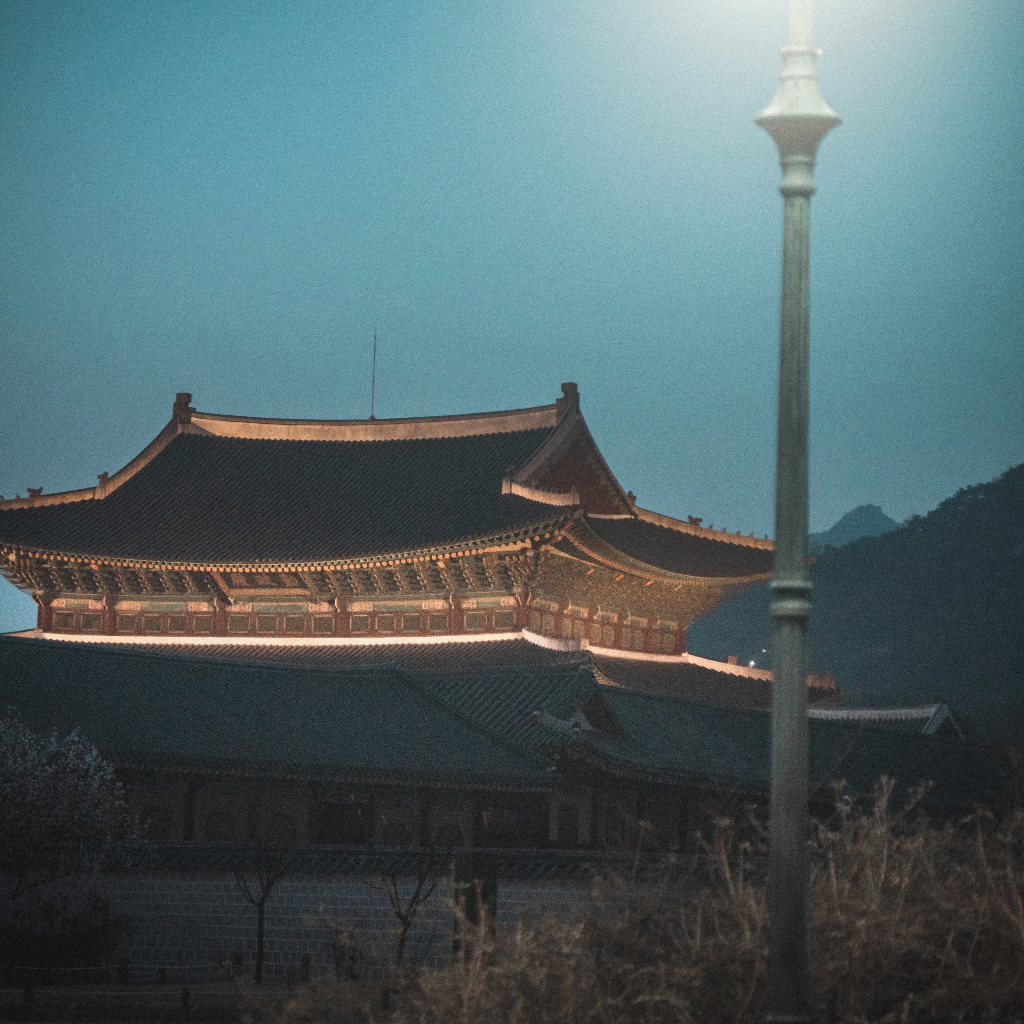 콘텐츠