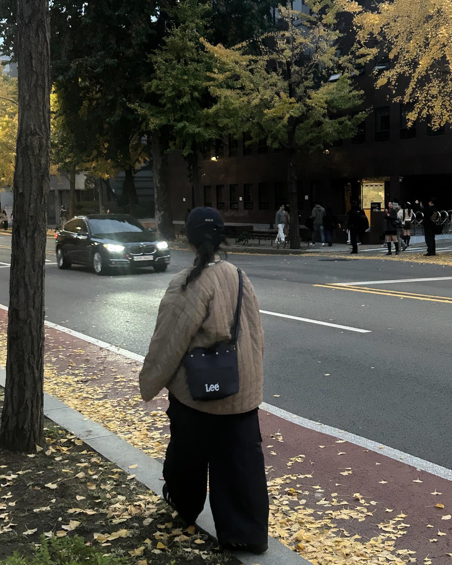 비오기 전에 마구마구 🐶🐕🍂🍁