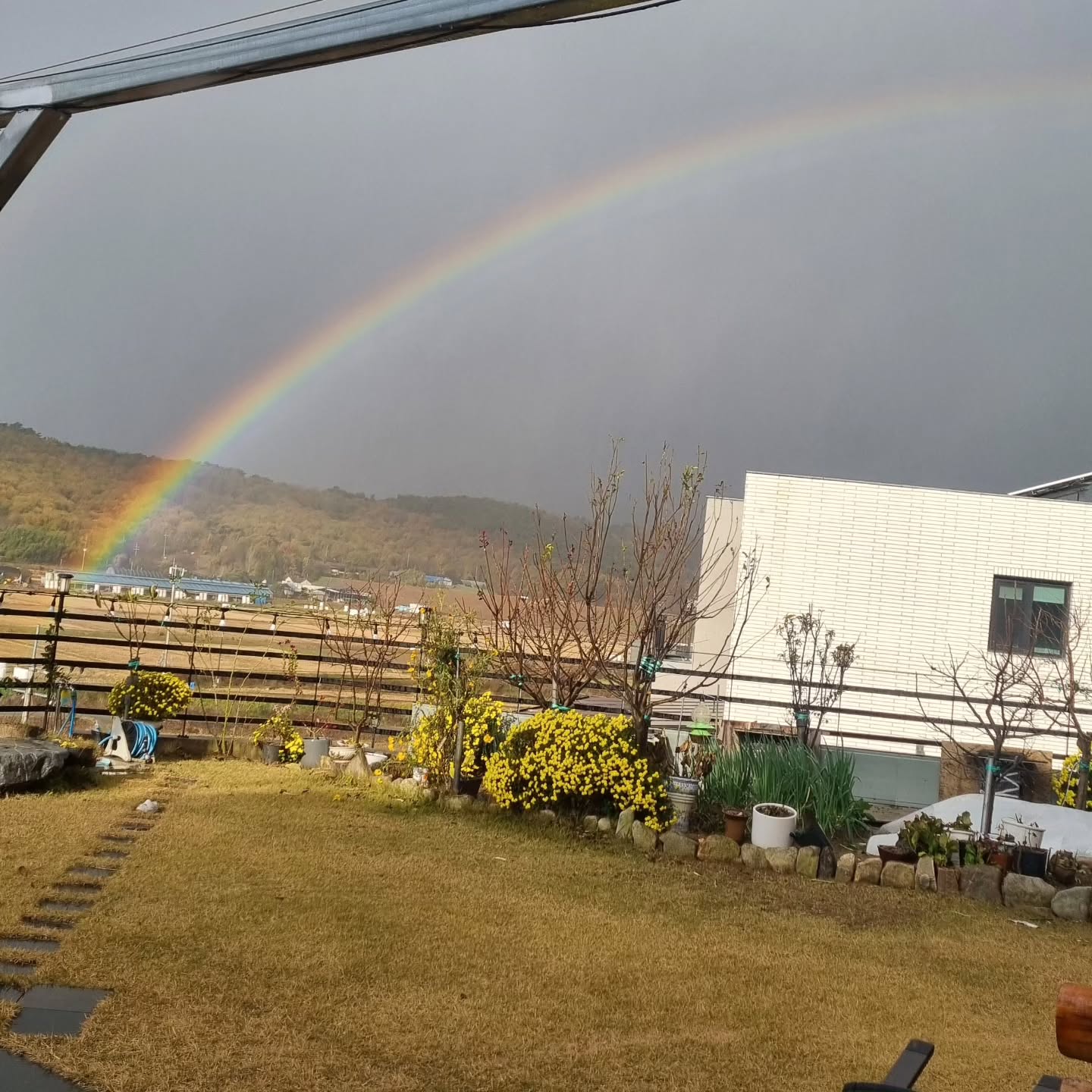 이렇게 선명하고 시작점이 보이는 #무지개 는 살면서 첨보는듯!!!!! 우왕🌈