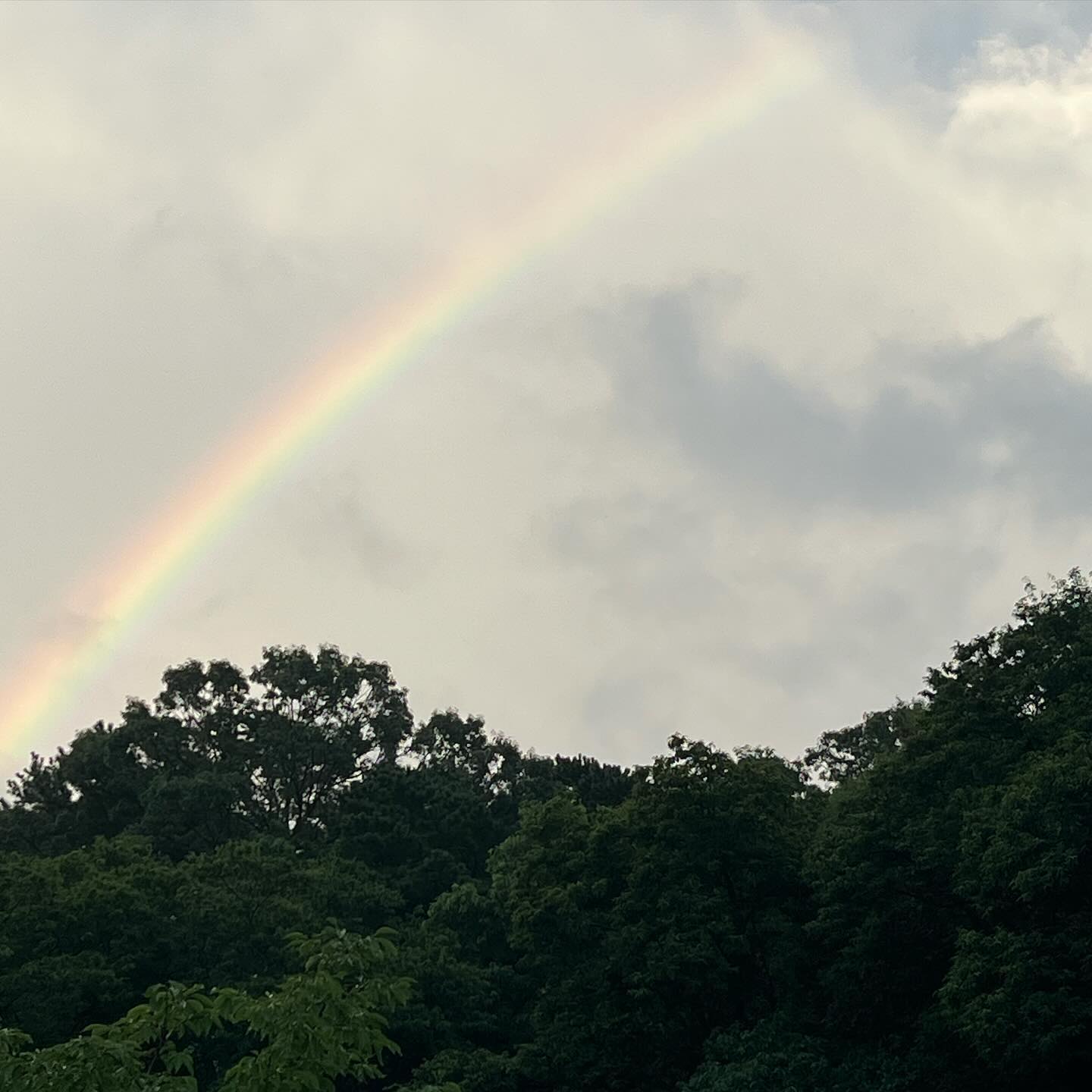 안녕 2023, 
안녕 2024 🌈

내년엔 조금만 조금만 덜 힘들게 해주라아! 
조금마안…..! 
내년엔 긍정적인 말을 조금 더 많이 기록 할 수 있길 🙏