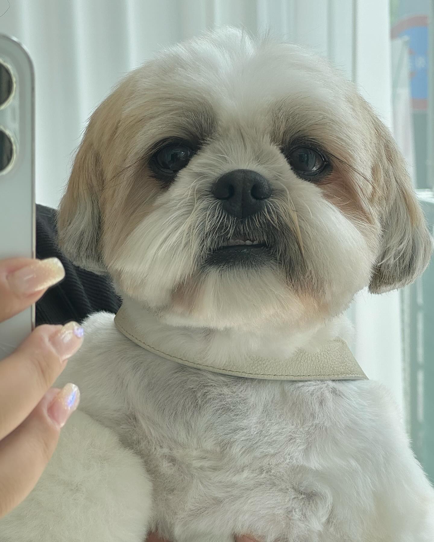 ㅋㅋㅋㅋㅋ 바닥으로 나온대서 당황과 함께 너무 예뻐서 찍다말기

내 소중이 ㄱㅇㅇ ,,, 🫶🏻