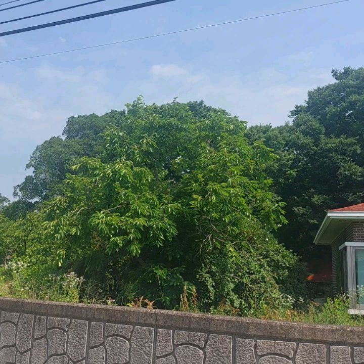 온라인  사업

시작은  쉽고
유지는 힘들지만 재미있어요^^

처음으로 참가한  할인행사에 12일동안 매출이 폭발했습니다:)

옵션수량을 잘못 체크했는지 1시간동안  혼자서 끙끙 거리다가
10대소녀랑 함께 하니 10분만에  해결됨^^

12일동안 
오전은  아르바이트
오후는 올리브영 진주점.이마트.온라인몰들을 몇번이고 왔다갔다 하고.

이렇게 지치지않게 일 할수 있어서 감사합니다:)♡

결국에는
며칠 전 부터 이명이 다시 시작되었어요.
ㅜㅠ 온라인 사업이 아직 익숙하지 않아서 그런듯 합니다.

시간관리만 잘하면 누구나 쉽게  도전할수있고.
유지할수 있는 일이지만
쉽다고 모두가 시작하지는 않더라구요 ㅎㅎ

#뷰티#온라인쇼핑몰 #수출#1인창업
#소자본