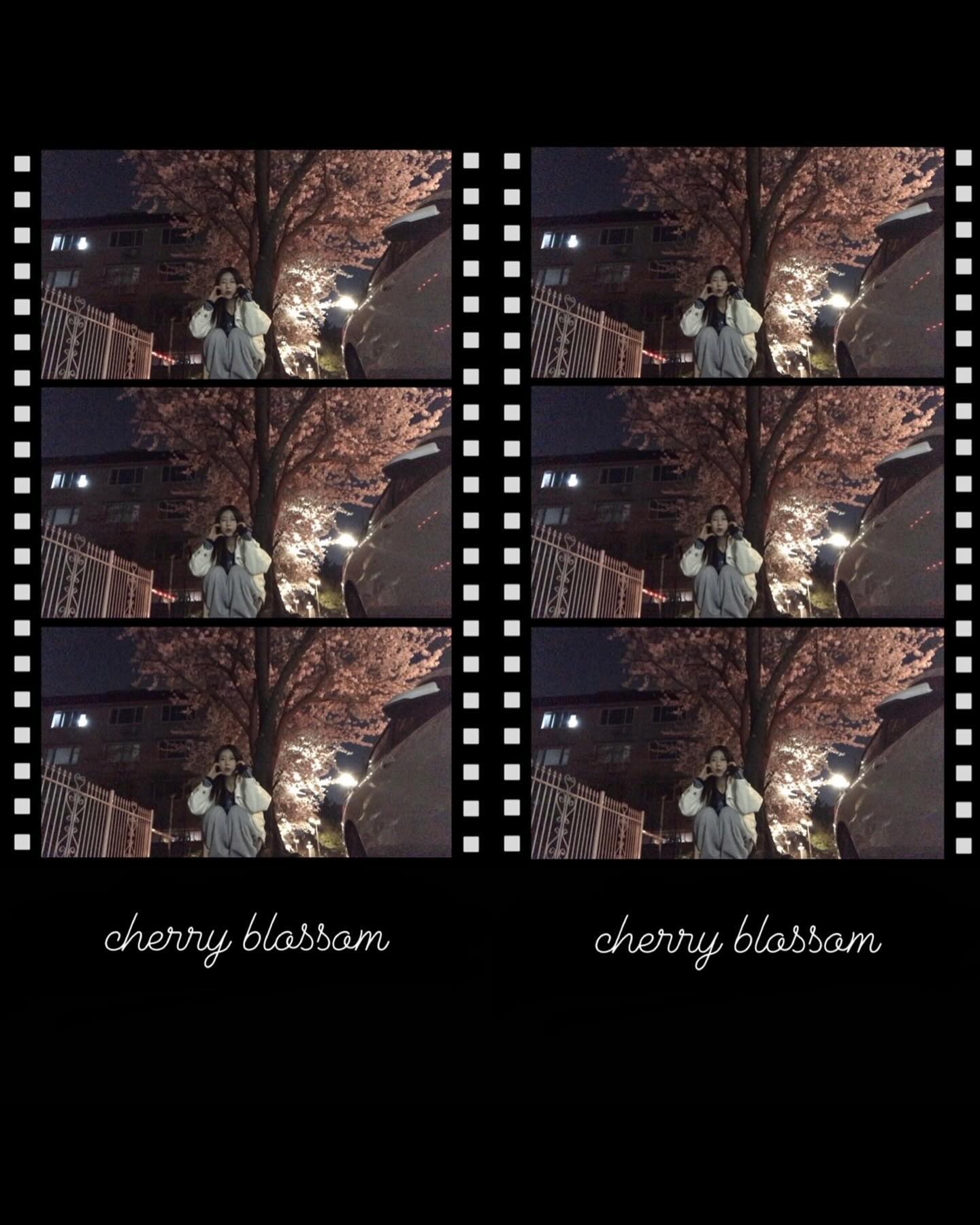 ୧ ·₊ ⊹ ﾟ⋆벚꽃 세컷 ﾟ₊·*♡̷̷̷ ₊ ﾟ