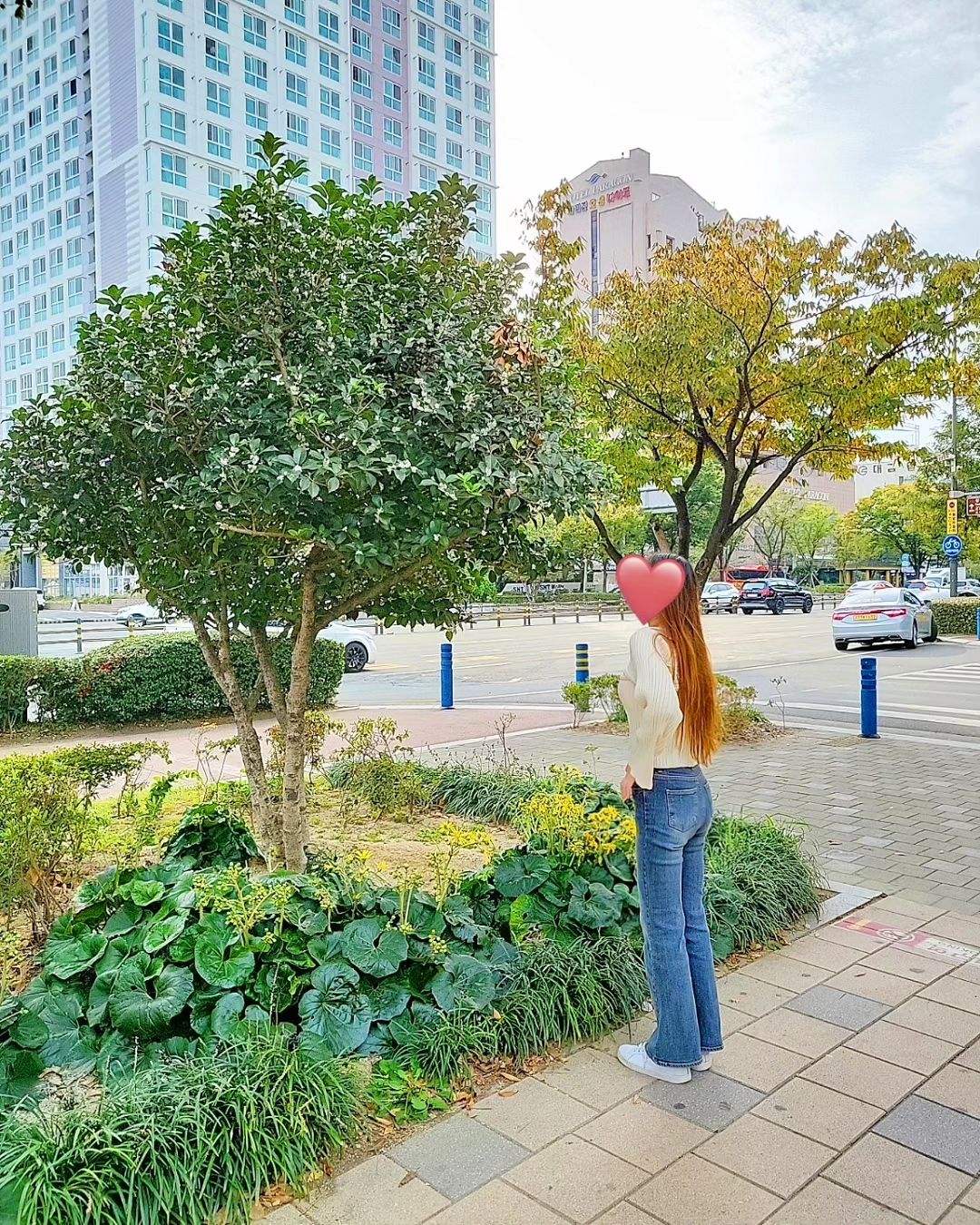 다이어트+223일째

7개월 만에 20kg정도를 감량했다..!!!😆

작년까지 살은 언제든 빼면 된다며
먹고먹고 미루다
인생 최대 몸무게를 찍고
시작한 다이어트

결론은..성공!!😍👏

매일 저녁마다 3시간씩
유튜브로 전신운동 뿌시고
식단하며 일까지 다니느라
너무 지치고 힘들었는데..
힘든 보람이 있구나🤣

운동도 운동이지만 식단이 거의 70프로 차지하는 거 같다..🤔

미용실 손님분들도 왜 이렇게 빠졌냐며
비법 좀 알려달라고 물어보실 때마다
너무 뿌듯하고 자존감이 팡팡✨✨

이제는 엄마가 좀 먹으라고 함...😅😆

근데 다이어트를 하면서 생겨난 또 다른 변화는...
성격이 예민해져서 나도 가끔 내가 왜 이러지?
싶을 때가 있다는것....?🙃