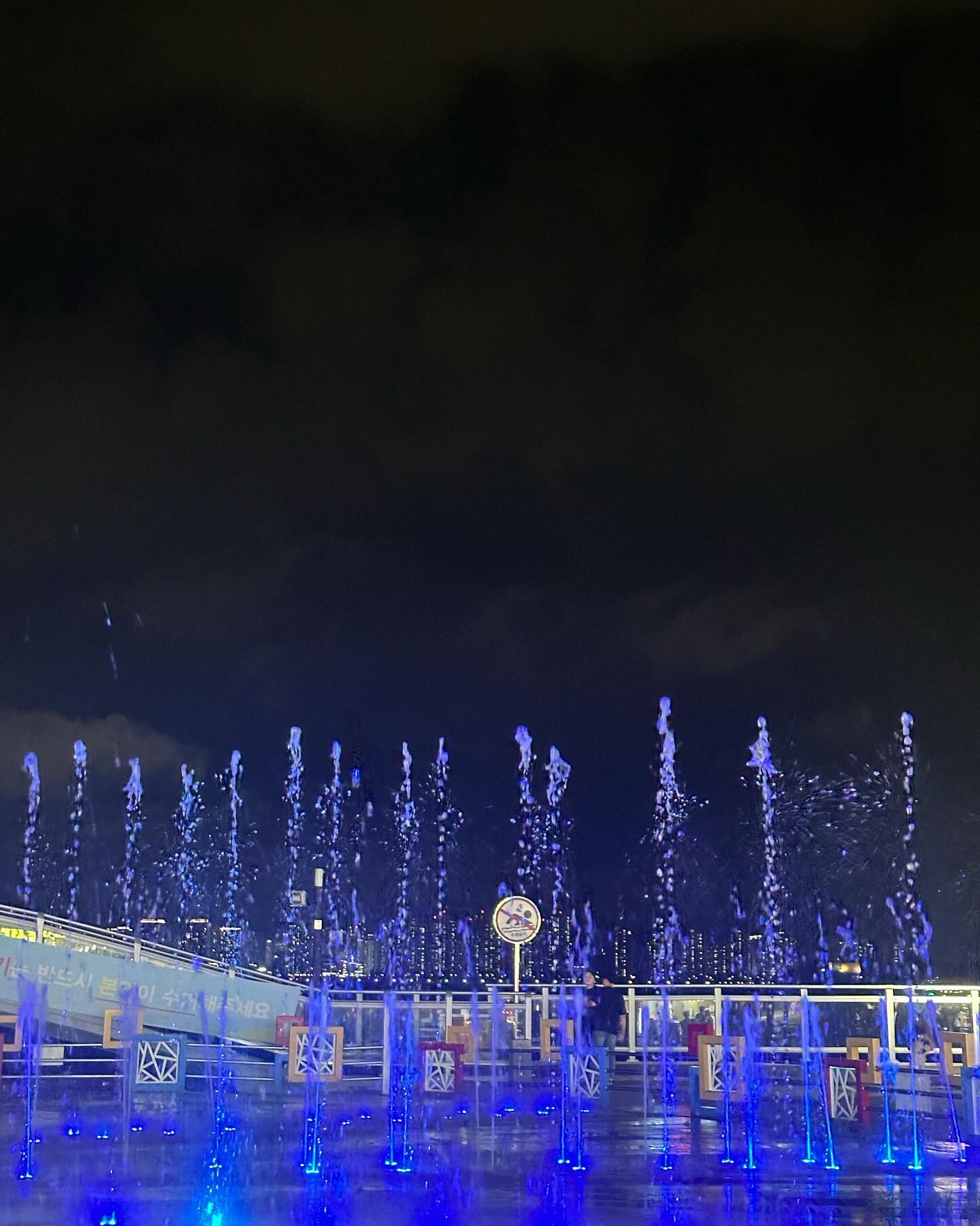 🌃