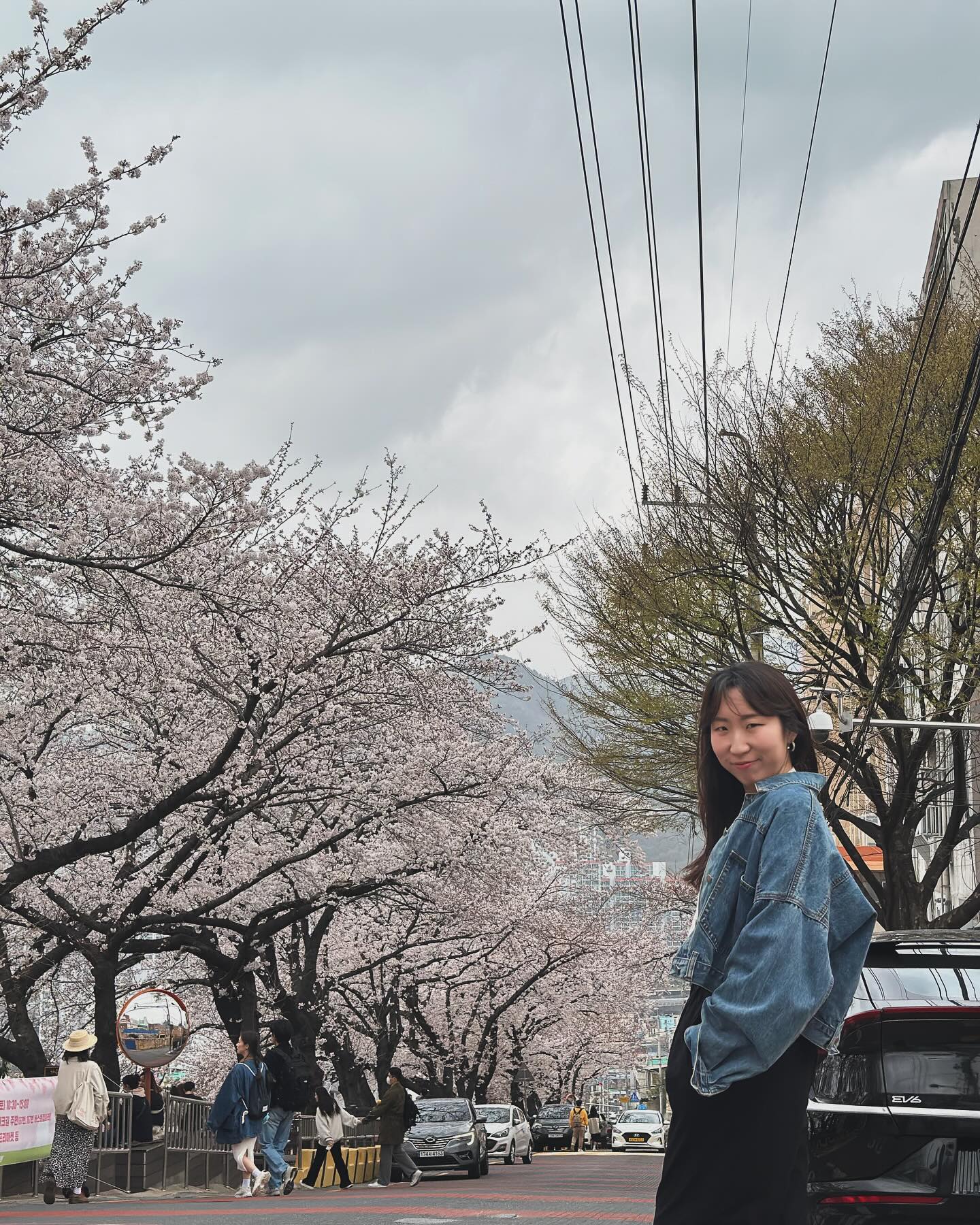 🌸