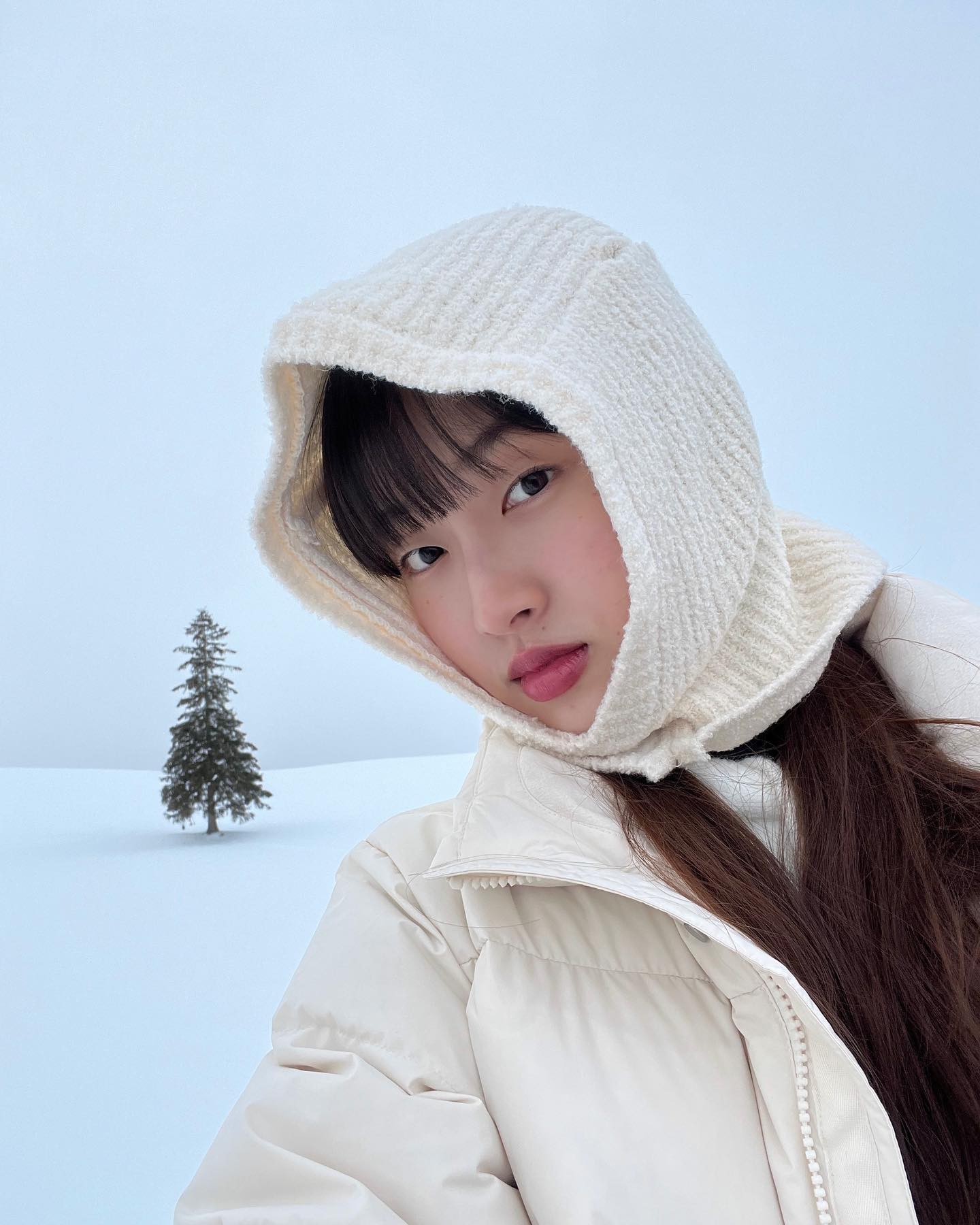 🌲