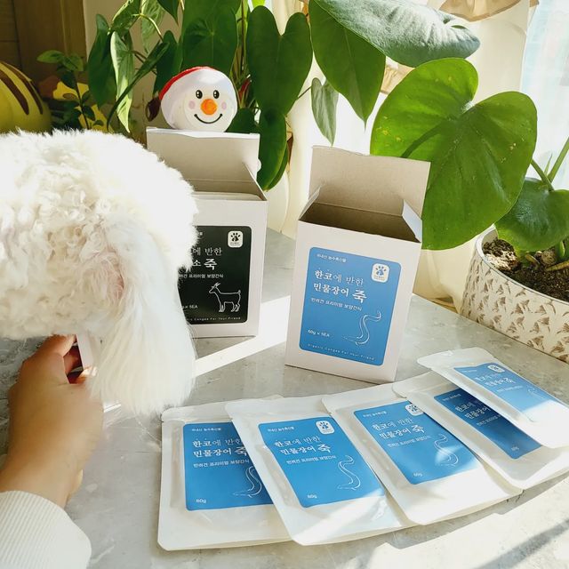 베리자몽🍓🍊 on Instagram: "#광고 사람은 한눈에 반하고 
강아지는 한코에 반하는
@pet_hanko 한코에반한 강아지 죽!

울 애기 구름이
보양식 간식으로 딱!

엄마도 먹기 힘든
민물장어죽에 흑염소죽에~
구름이는 먹어야지
우리 오래오래 함께 햅삐하자~

요즘 사료 너무 안먹어서
기운없는 구름이
한코에반한 강아지 죽이랑 섞어서 
촵촵!!!

냠냠 잘먹는 모습만 봐도
엄마는 행복해~

우리 반려견의 치아가 걱정이라면
살이 쪄서 걱정이라면
중성화, 슬개골 수술, 산모견이라면 
영양보충 확실하게~~~
원기회복하고 수분도 섭취하는
한코에반한 강아지 죽!

건강한 죽 잘먹으니 너무 예뻐요

#강아지#반려동물#수제간식
#한코에반한, #강아지수제간식, #강아지다이어트,  #강아지죽,  #잘먹는간식,  #강아지면역,  #강아지화식,  #강아지습식사료, 
 #노견간식 ,#노견, #중성화수술, #슬개골탈구, #민물장어죽,  #흑염소죽,  #오리죽"