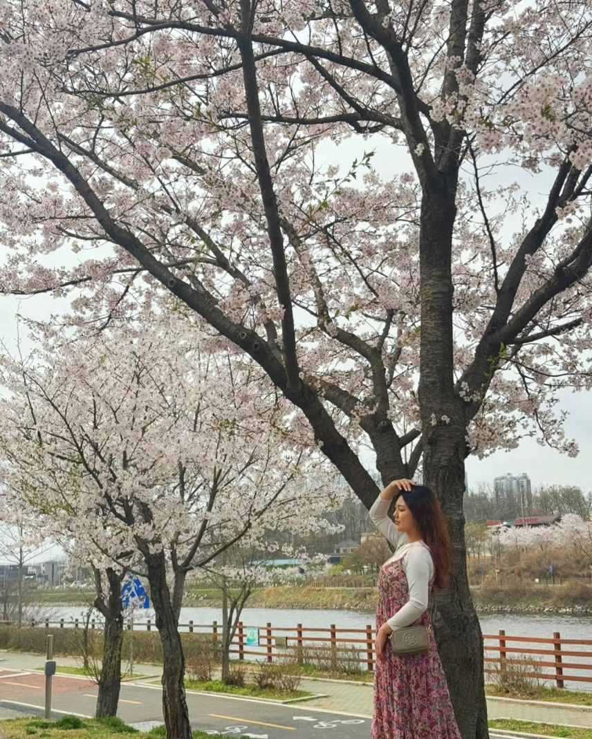 #🌸
벚꽃은 한 순간이라 너무 아쉬워
하지만 그 시기뿐이라 더 애틋한 것 같아
그러니까 내년에도 잘 부탁해
.
.
.
#벚꽃 #꽃놀이 #나들이 #꽃놀이🌸 #벚꽃놀이 #꽃구경