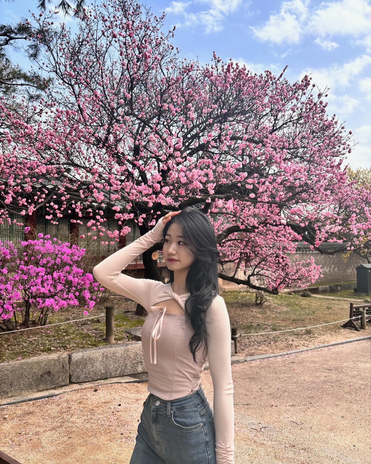 작년에 못만난 홍매화씨 드디어 만났다🌸🤤💕🩷