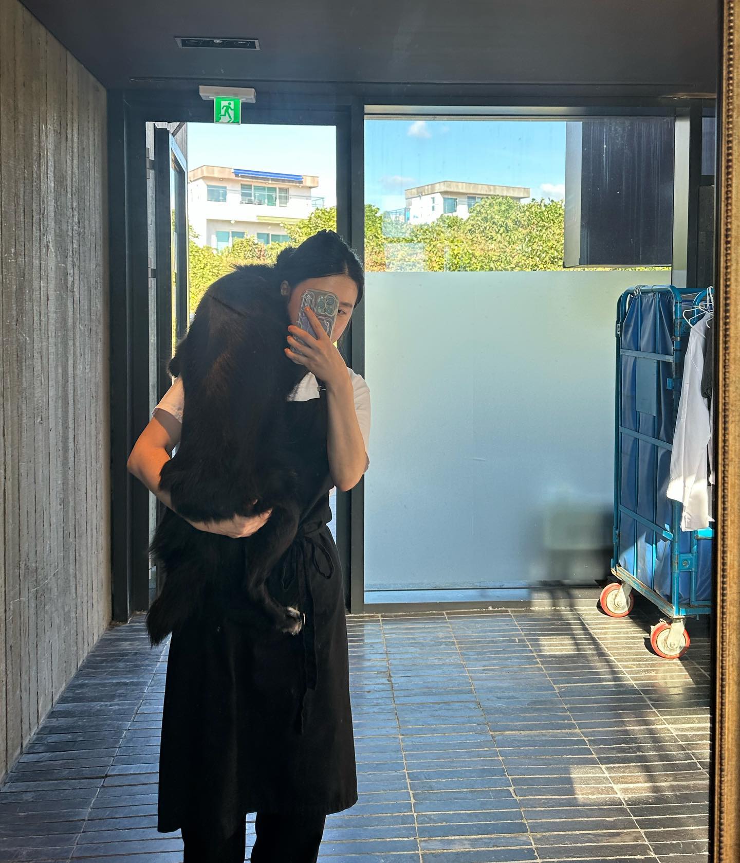 착 붙!!!
이제 쌀쌀해져서 같이 출근중~~

#모모 #제주개 #보더콜리믹스 #bodercolliemix  #제주살이