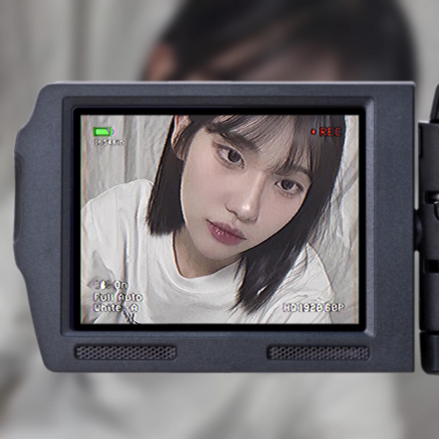 생존신고