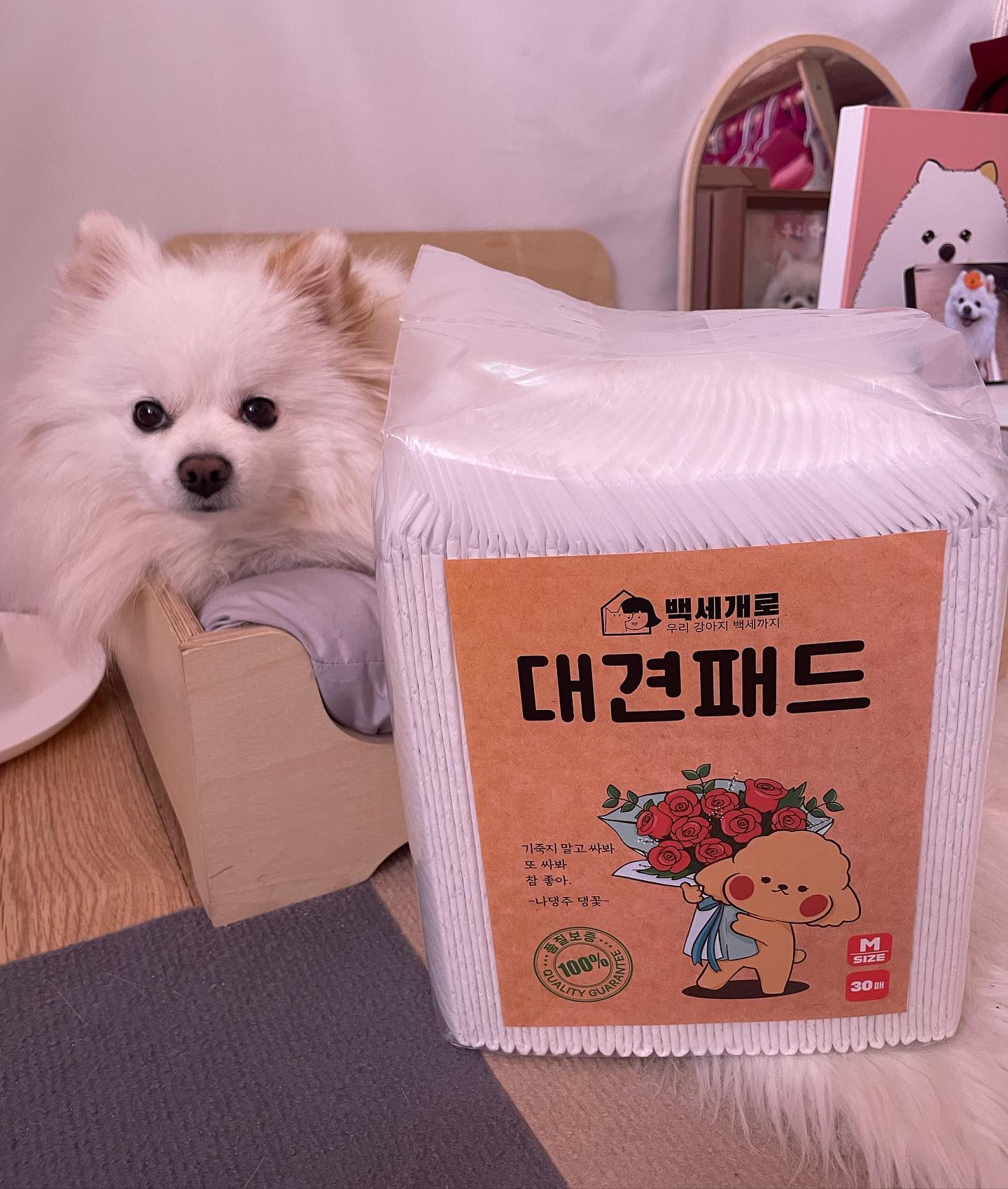 #협찬 #백세개로 #대견패드

백세개로 대견패드 들어보셨나요?😊

백세개로는 ‘우리 강아지 백세까지 살자’ 라는 의미가 담긴 브랜드라고 해요.
대견패드는 대견한, 대견할 우리 아이를 위한 이름인데요. 독특하지 않나요?

보통 하루에 1장씩 또는 2장씩 배변패드를 갈아주고 계실텐데요.
여름철이면 냄새가 나기 때문에 더 자주 갈아주실테고 소변의 양이 많아도 자주 갈수 밖에 없어요.

대견패드는 매쉬 소재로 제작이 되었으며 대나무 참숯으로 향균과 탈취력을 높였어요 :)
“우리”처럼 모서리에 싸는 아이들을 위해 모서리에 방수포 소재를 사용했다고 하는데요.

실제로 “우리”가 모퉁이에 싸도 바닥에 흘리지 않고 깔끔한 뒷처리가 가능했어요.
또한 형광증백제를 첨가하지 않았고 스미토모사 SAP를 사용하여 흡수력을 높였다고 해요.

일반적으로 소형견들이 많이 쓰는 중형 사이즈는 총 30매가 들어있고,
하루 1장으로 딱 한달을 사용할수가 있어서 좋더라구요😙

또한 두께도 너무 두껍지도 너무 얇지도 않은 딱 적당한 두께였어요.
중형/대형 사이즈 선택이 가능하고 현재 100원 딜 한정수량 이벤트를 진행중이니 빠르게 겟하세요😋

100_doglife
.
.
.
#애견패드 #강아지패드 #배변패드 #강아지배변패드 #배변패드추천 #강아지배변훈련 #강아지배변패드 #반려견배변패드 #멍스타그램 #개스타그램 #독스타그램 #댕댕이 #개린이 #우리 #강아지 #반려견