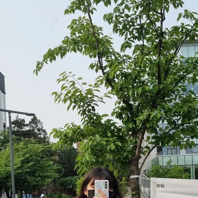 제로 on Instagram: "2022.06.22 종강해서 학교에 사람이 없어 🥲 👖 메이비베이비 👟 널디"